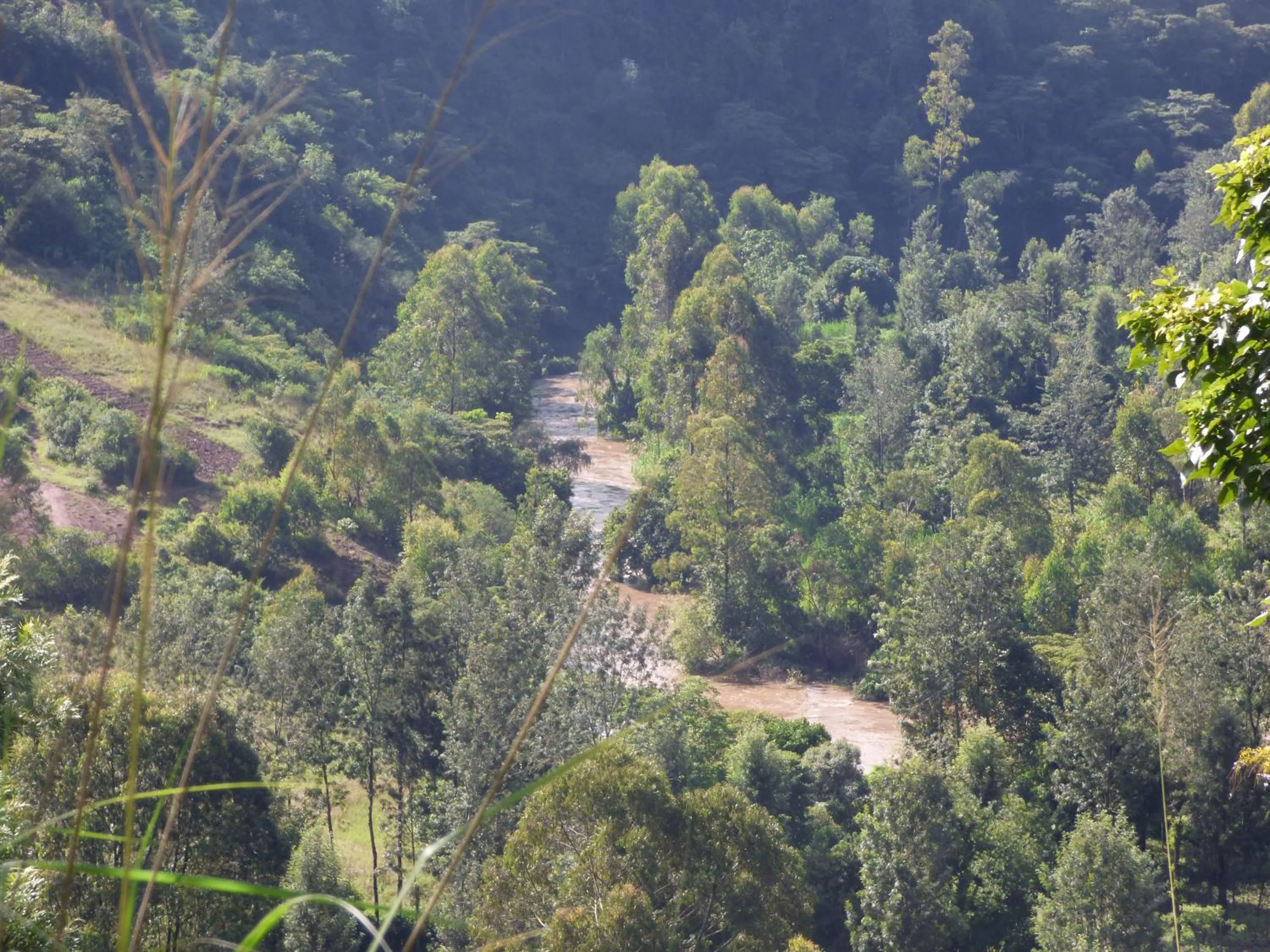 Neighbourhood in Le Pristine Wellness and Healing Hotel