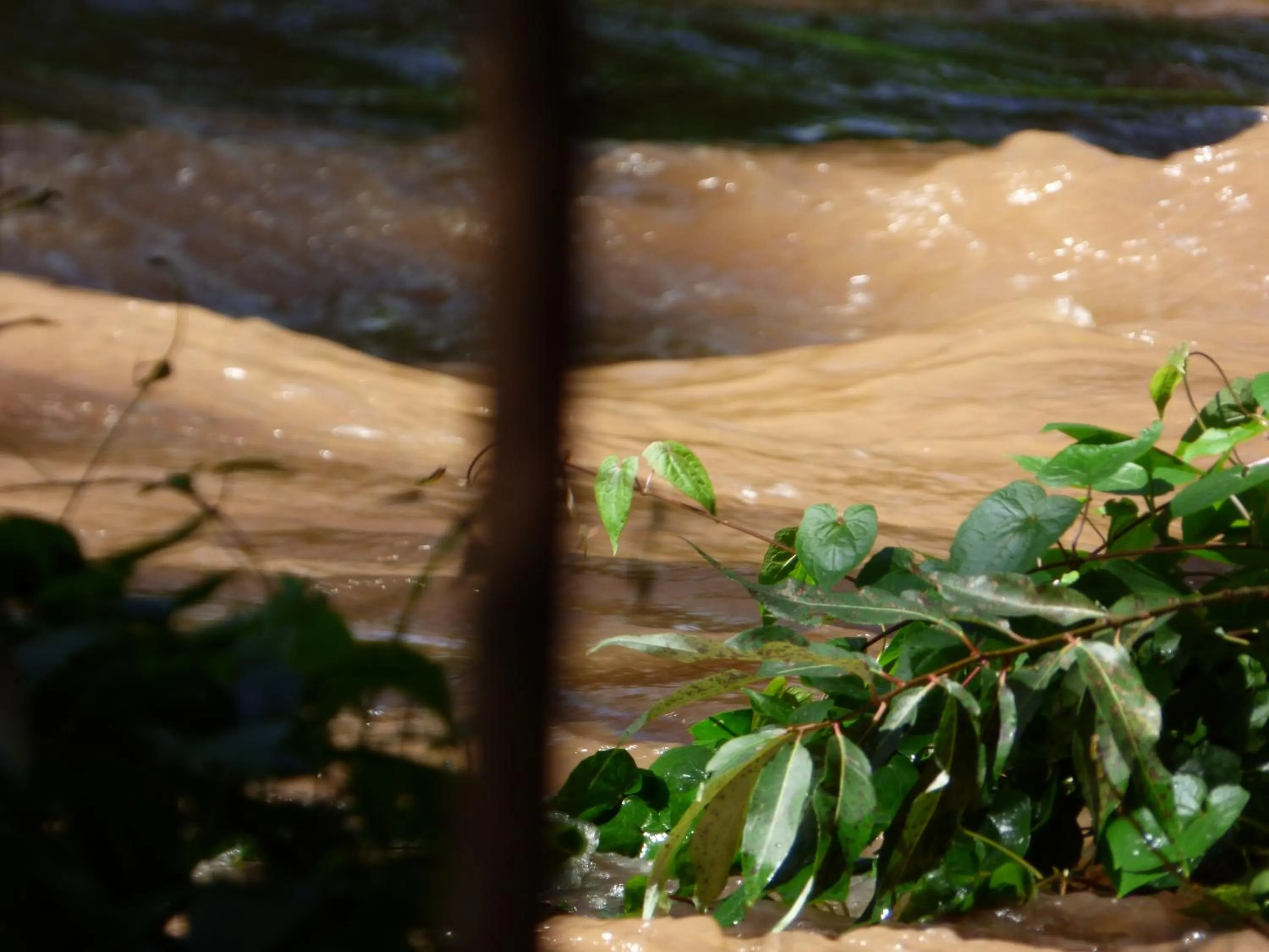 Natural landscape in Le Pristine Wellness and Healing Hotel