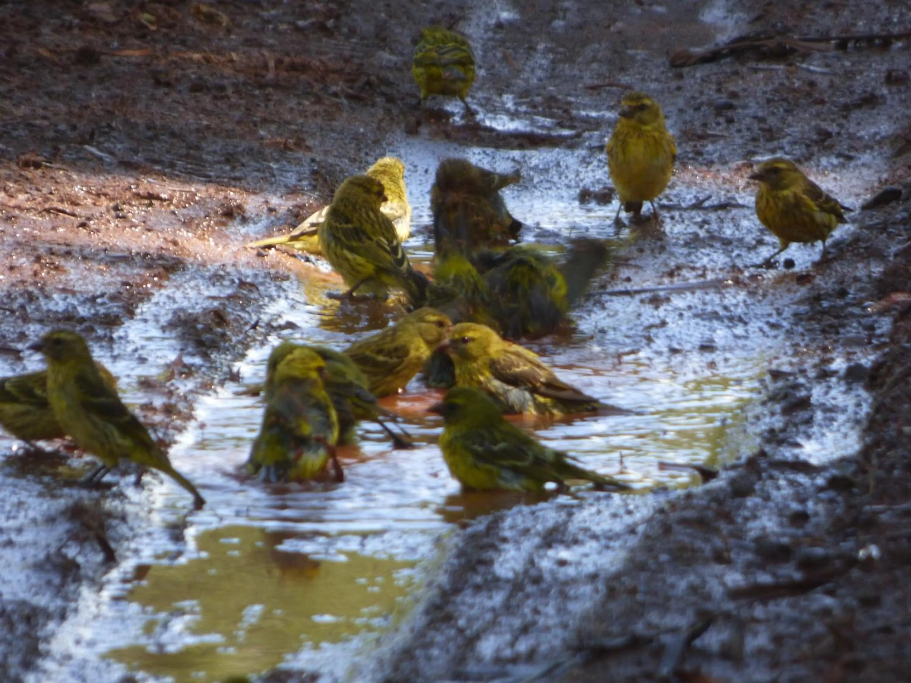 Neighbourhood in Le Pristine Wellness and Healing Hotel