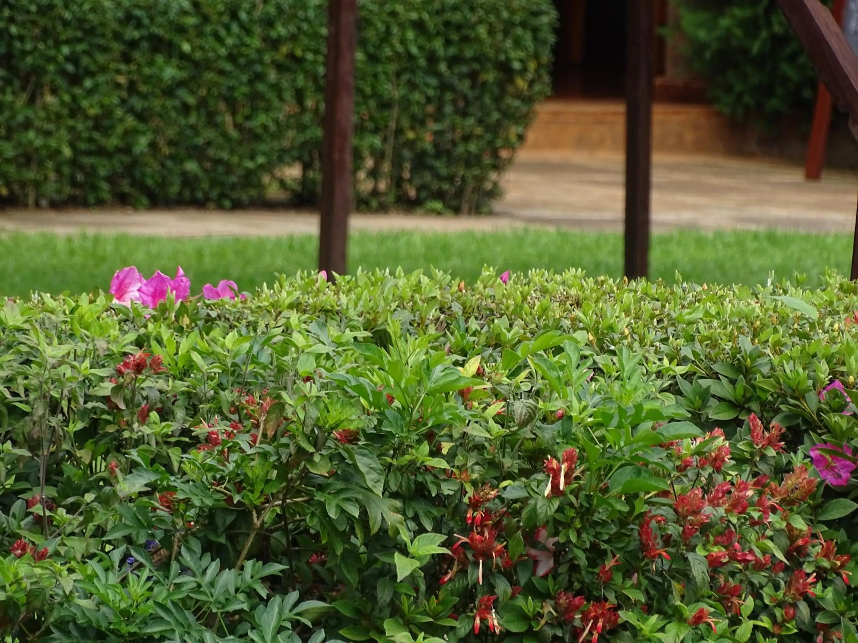 Garden in Le Pristine Wellness and Healing Hotel