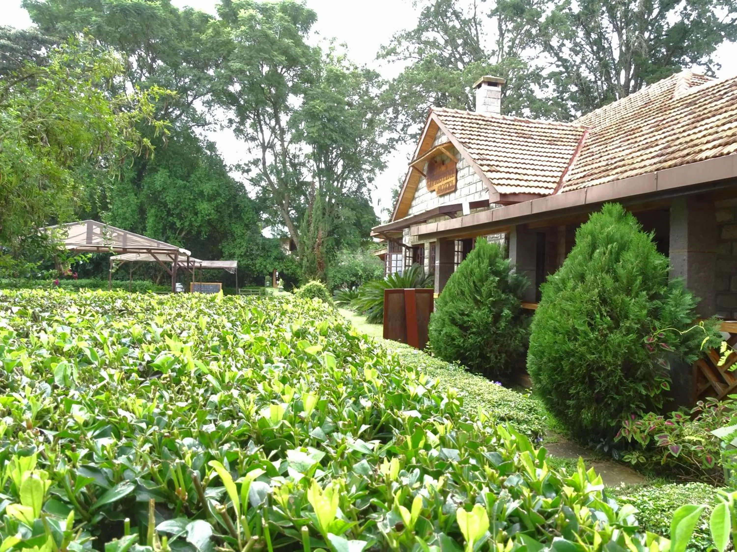 Property building in Le Pristine Wellness and Healing Hotel