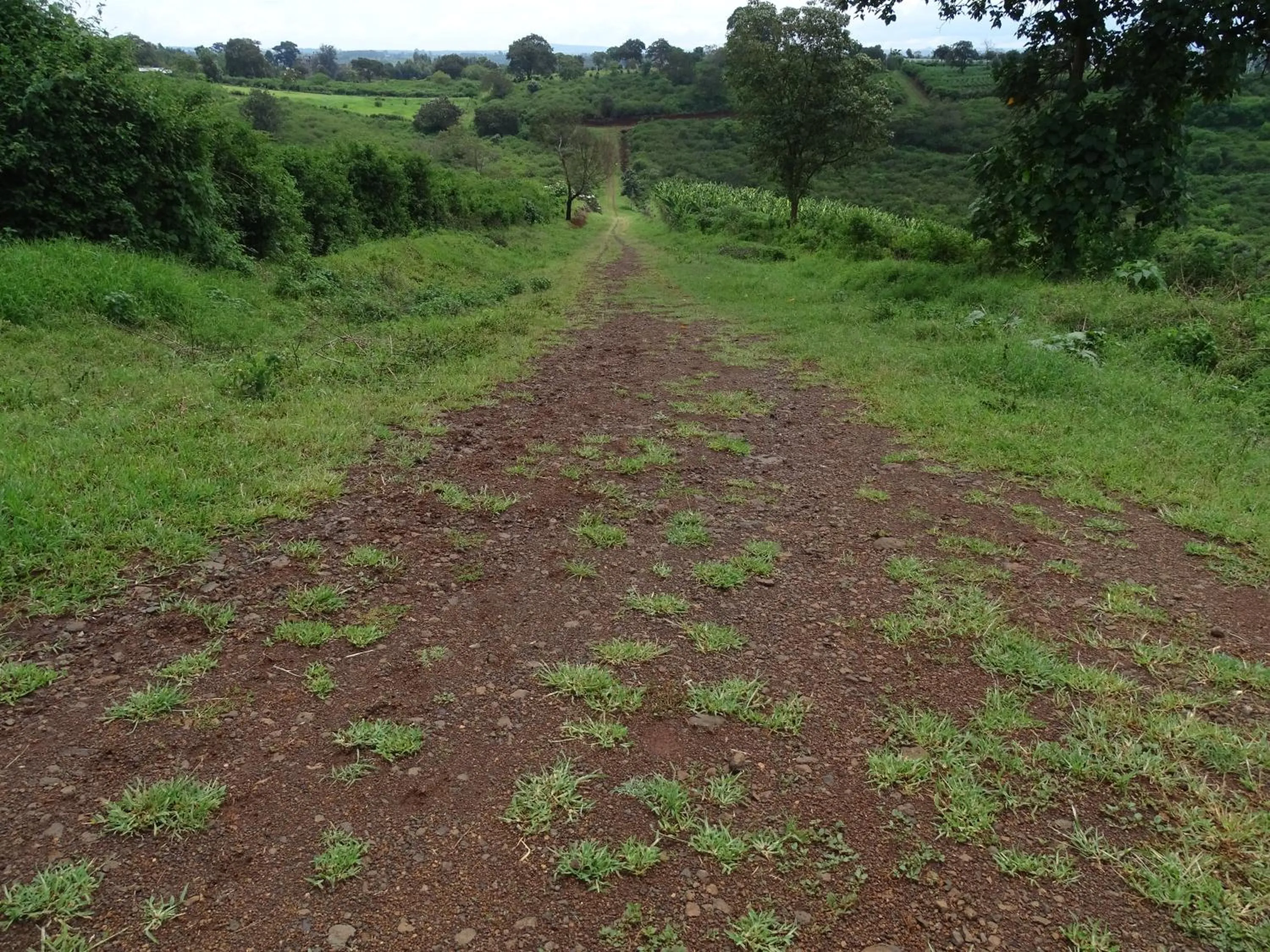 Natural landscape in Le Pristine Wellness and Healing Hotel