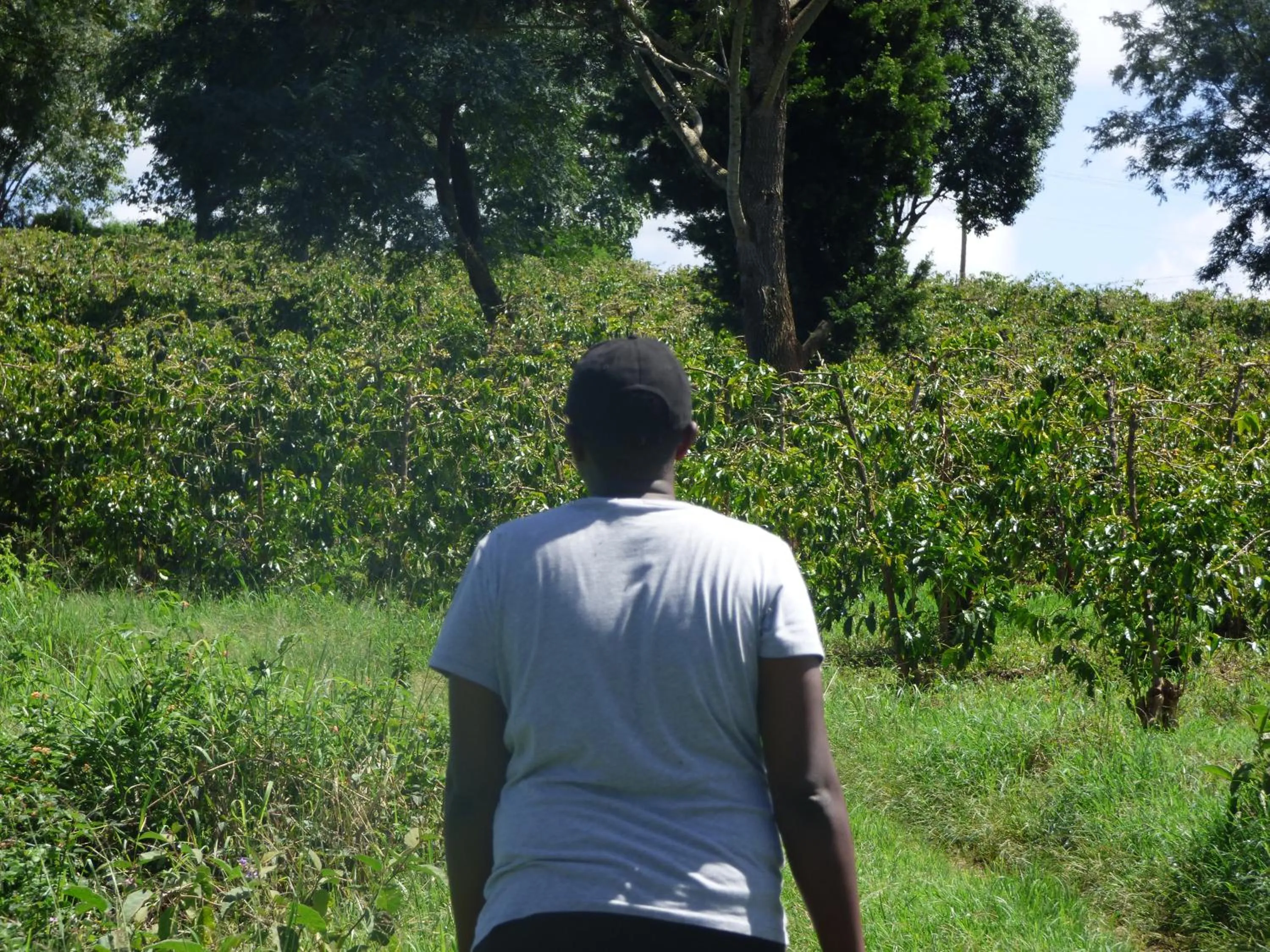 Neighbourhood in Le Pristine Wellness and Healing Hotel