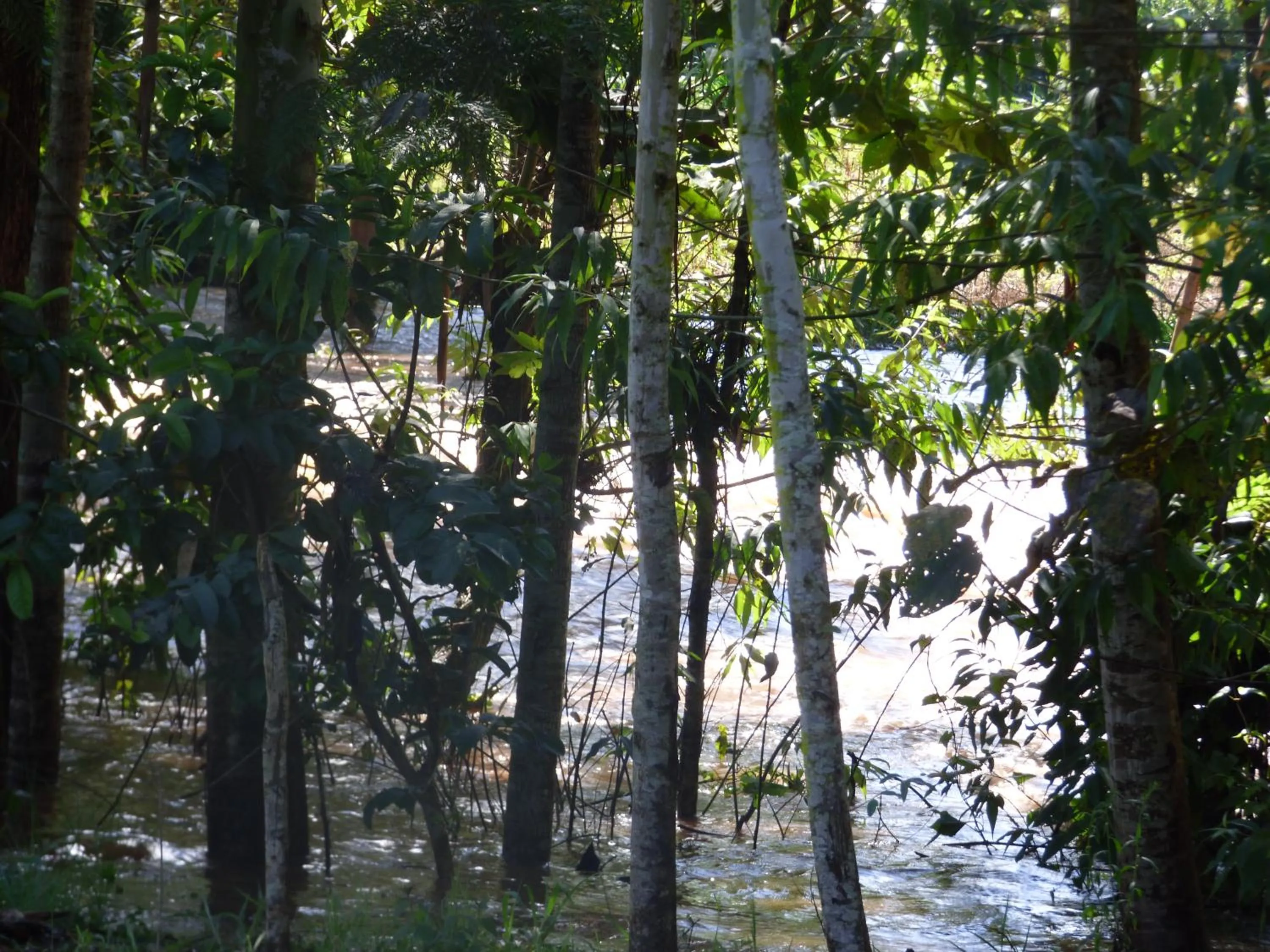 Natural landscape in Le Pristine Wellness and Healing Hotel
