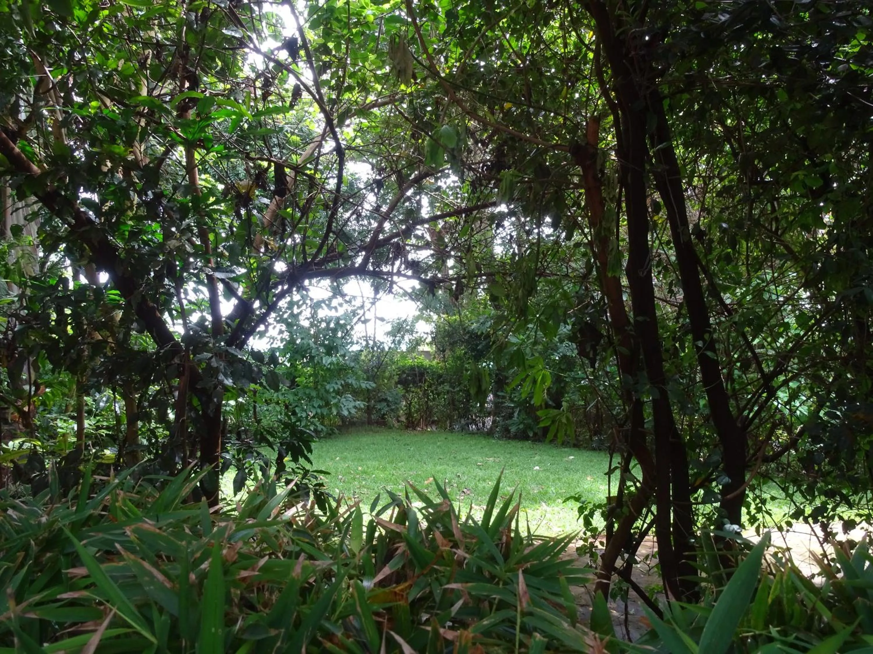 Day in Le Pristine Wellness and Healing Hotel