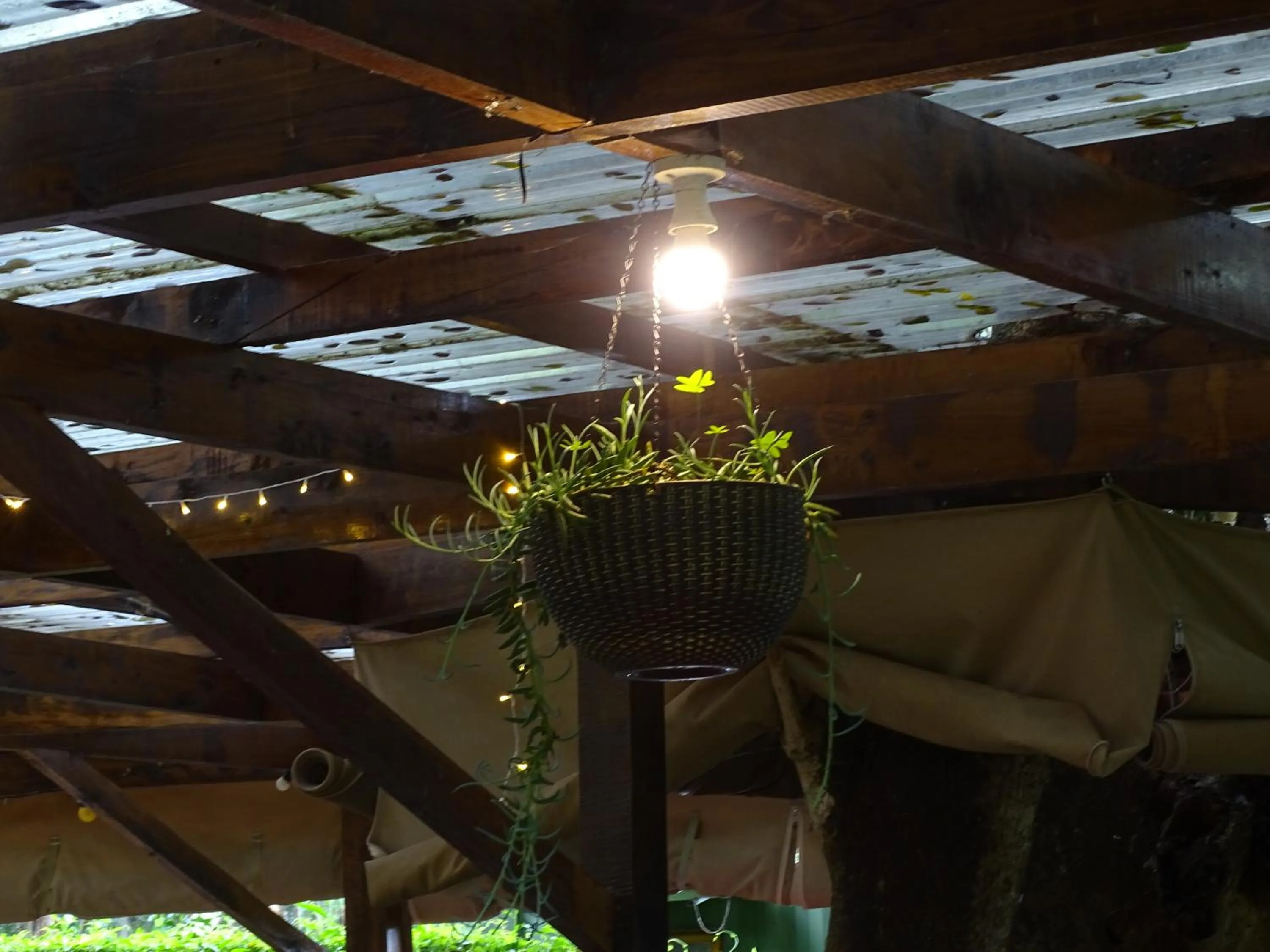 Restaurant/places to eat in Le Pristine Wellness and Healing Hotel