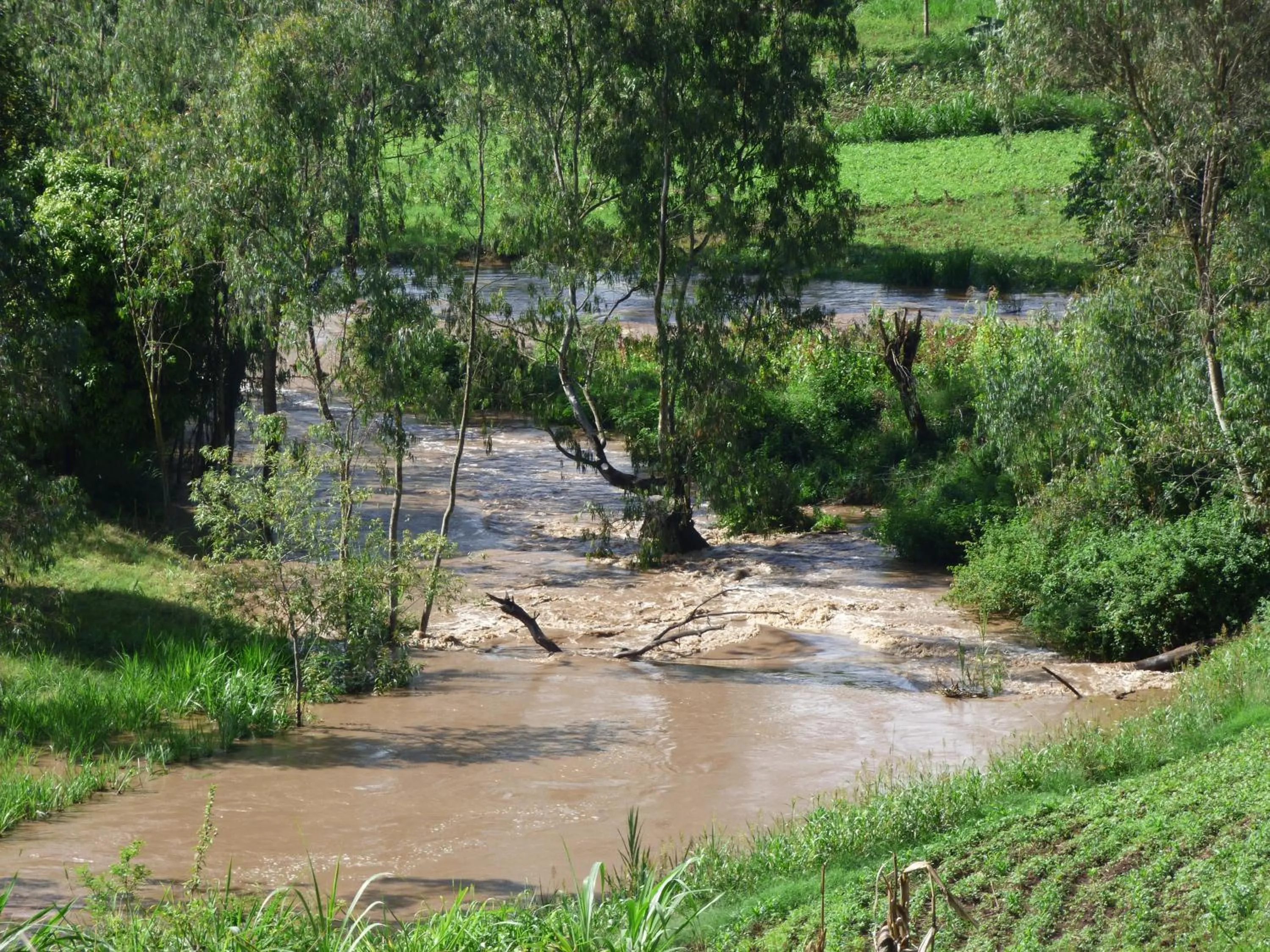 Nearby landmark in Le Pristine Wellness and Healing Hotel