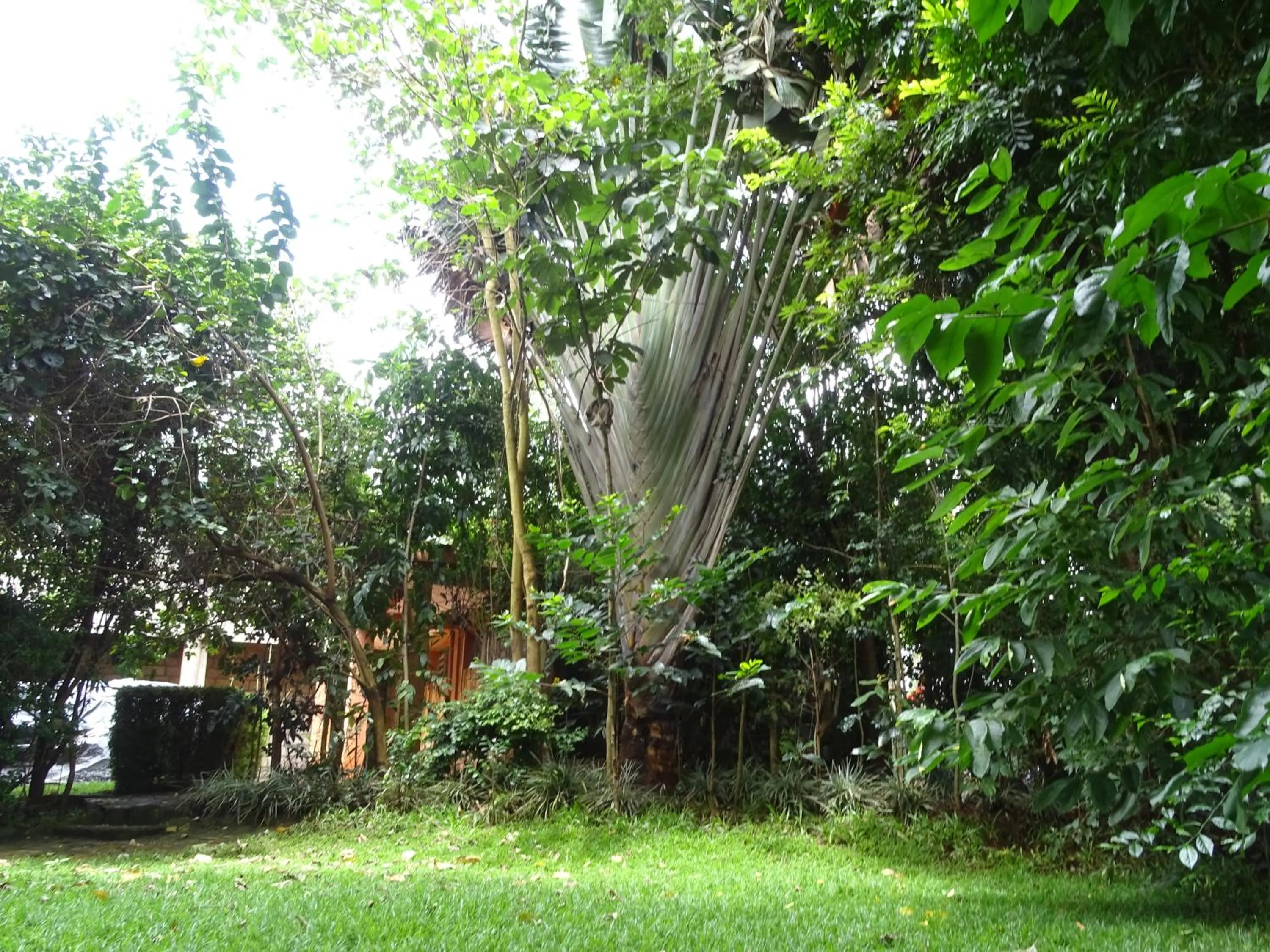 Garden in Le Pristine Wellness and Healing Hotel