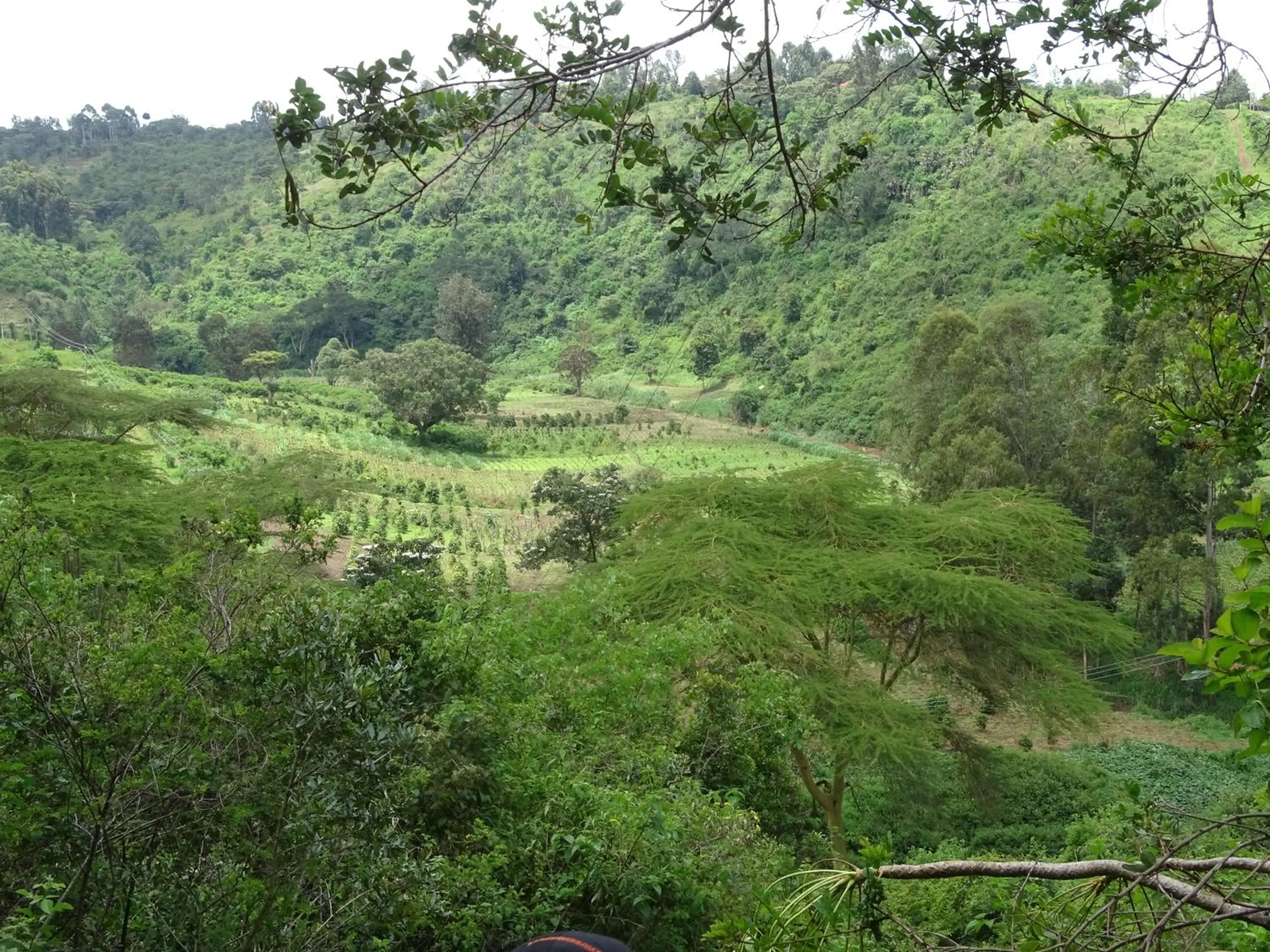 Natural landscape in Le Pristine Wellness and Healing Hotel