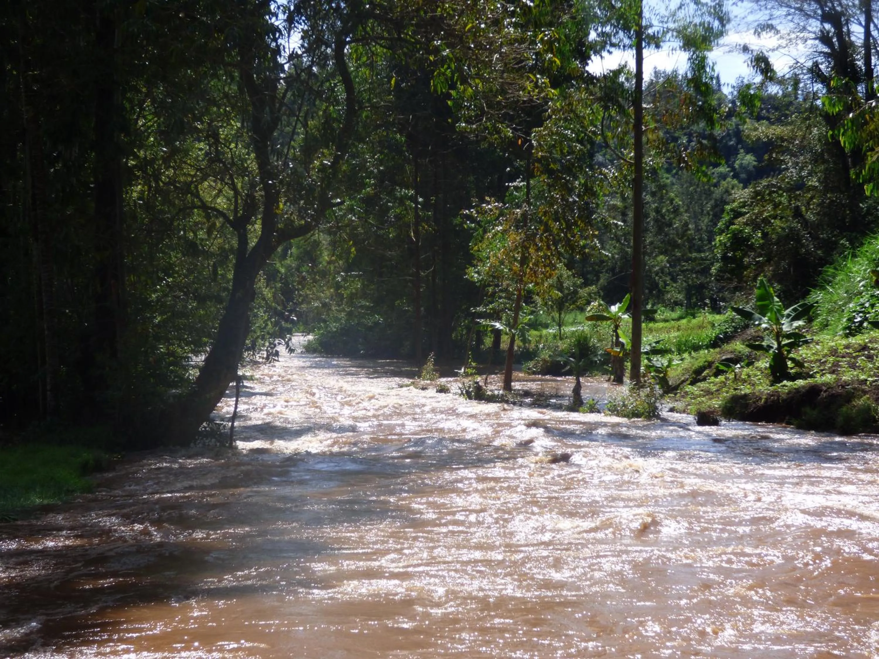 Neighbourhood in Le Pristine Wellness and Healing Hotel
