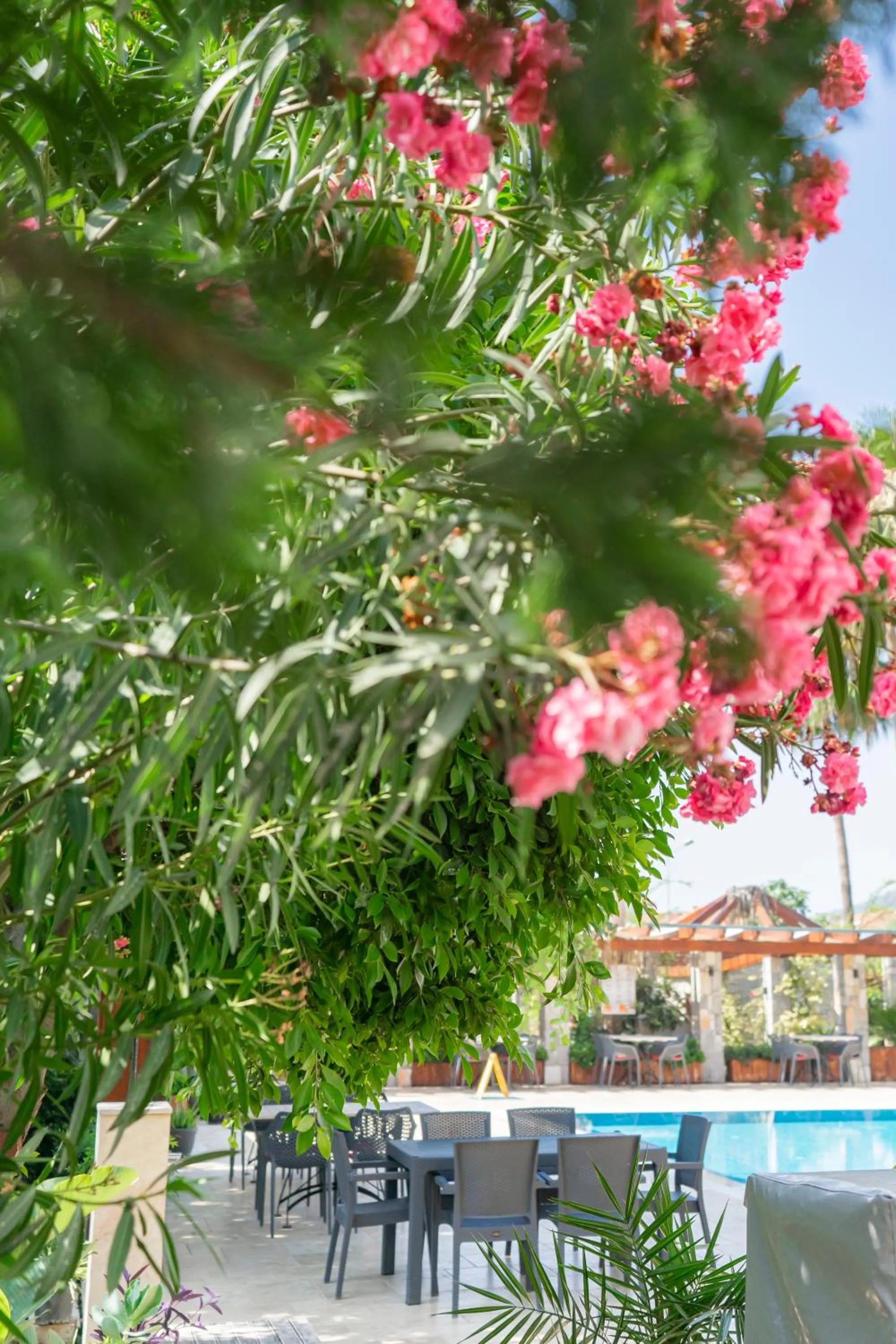 Restaurant/places to eat in WEST HOUSE EXCLUSIVE HOTEL