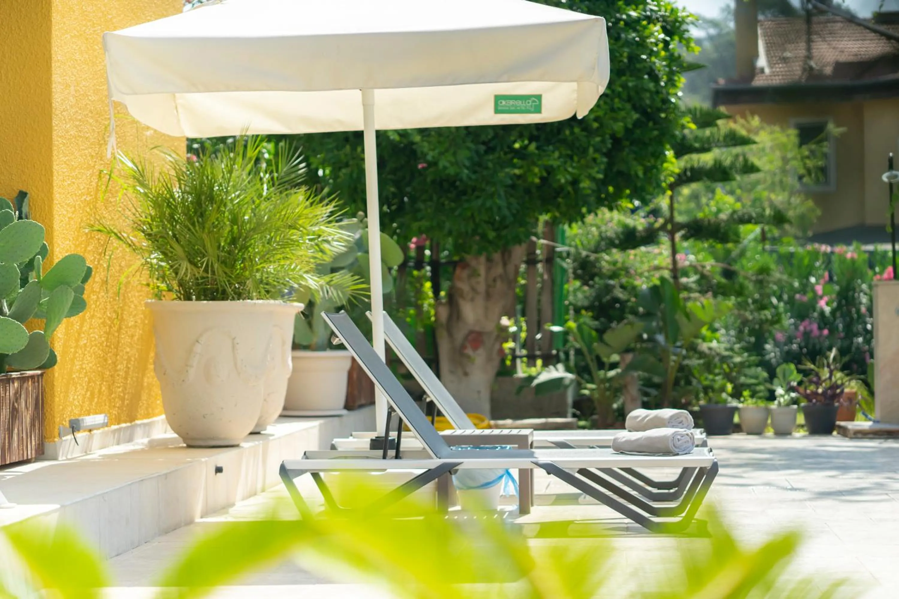 sunbed in WEST HOUSE EXCLUSIVE HOTEL