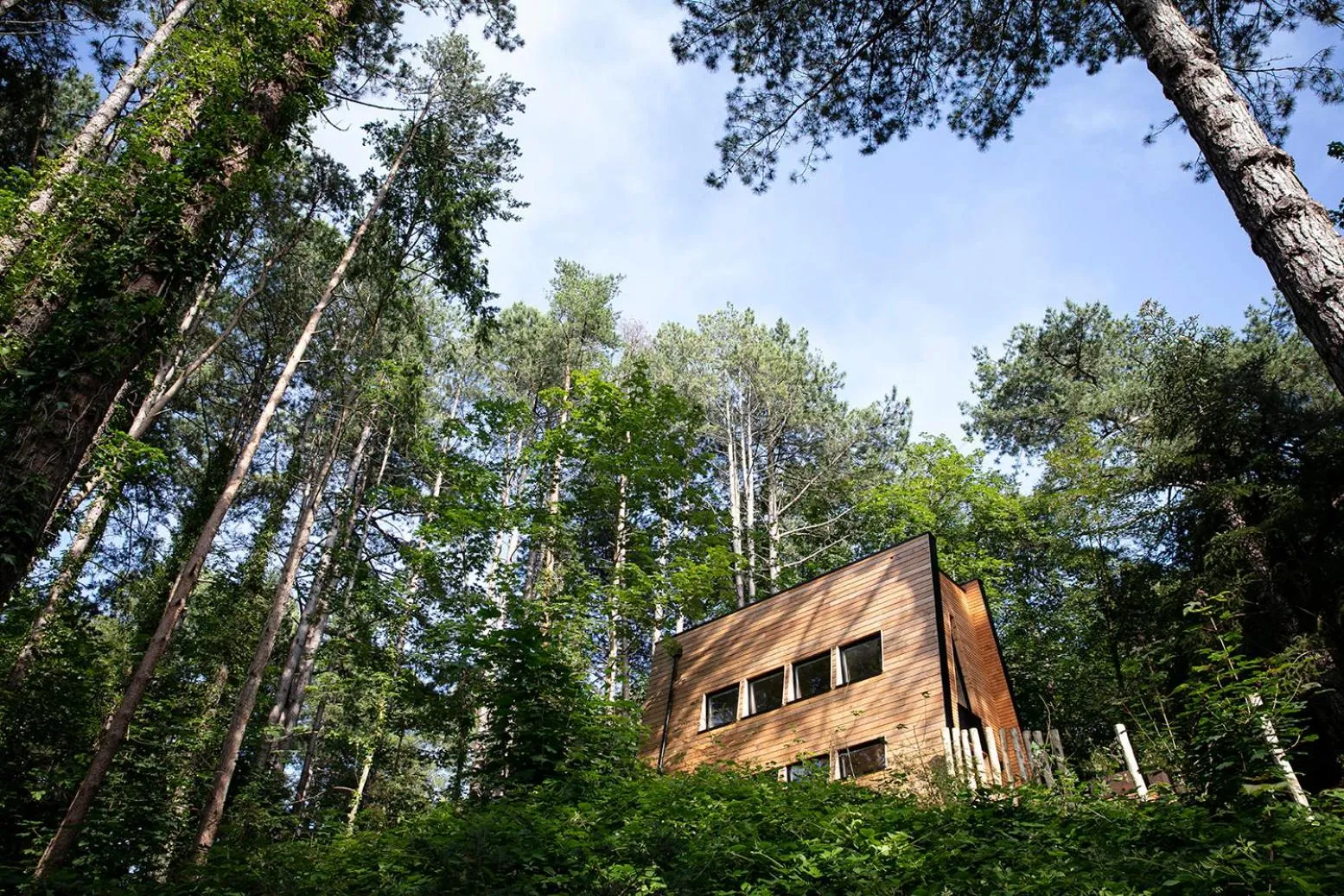 Property building in Bain de forêt - Lodges Cosy & Spa