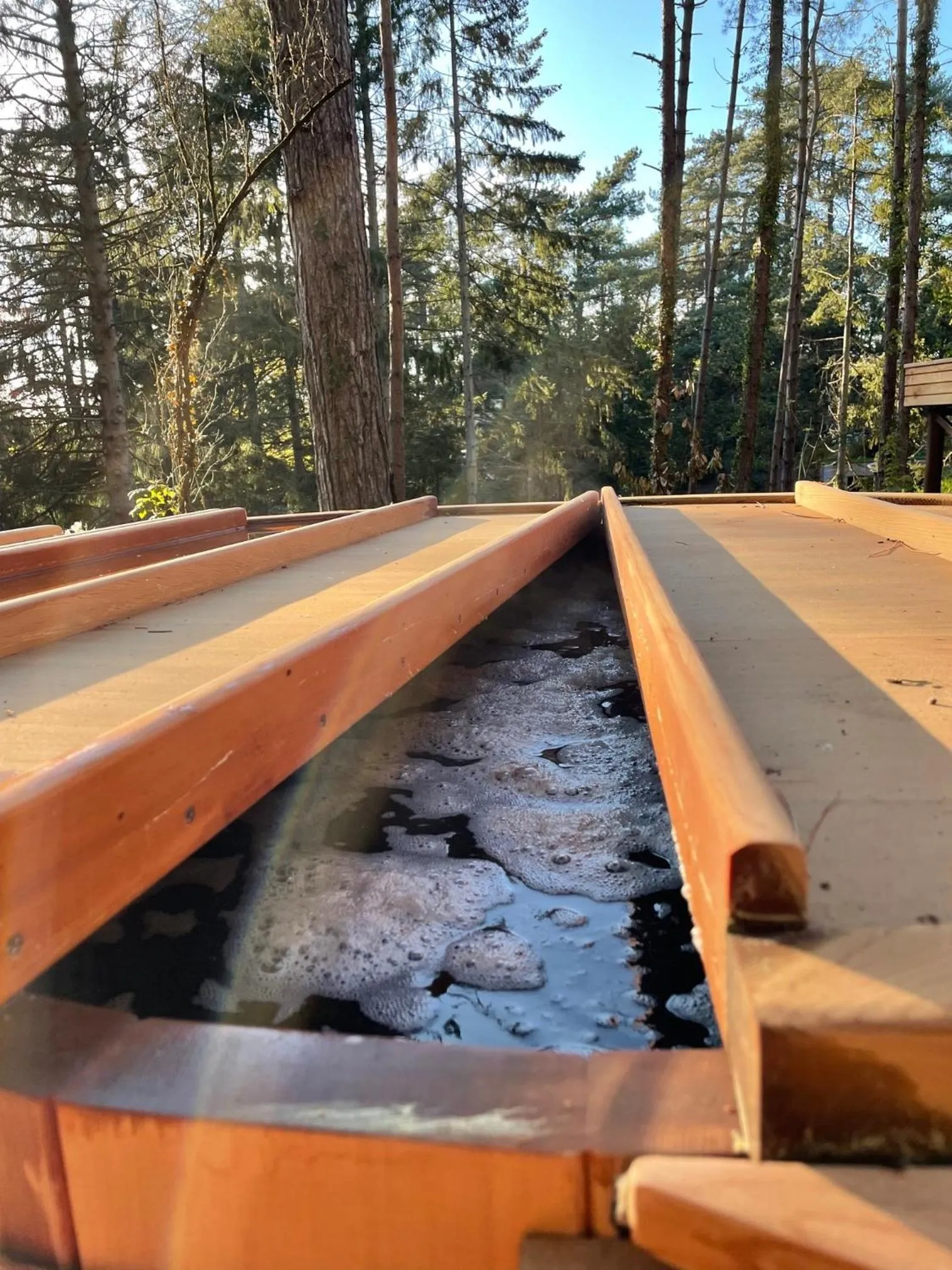 Spa and wellness centre/facilities in Bain de forêt - Lodges Cosy & Spa