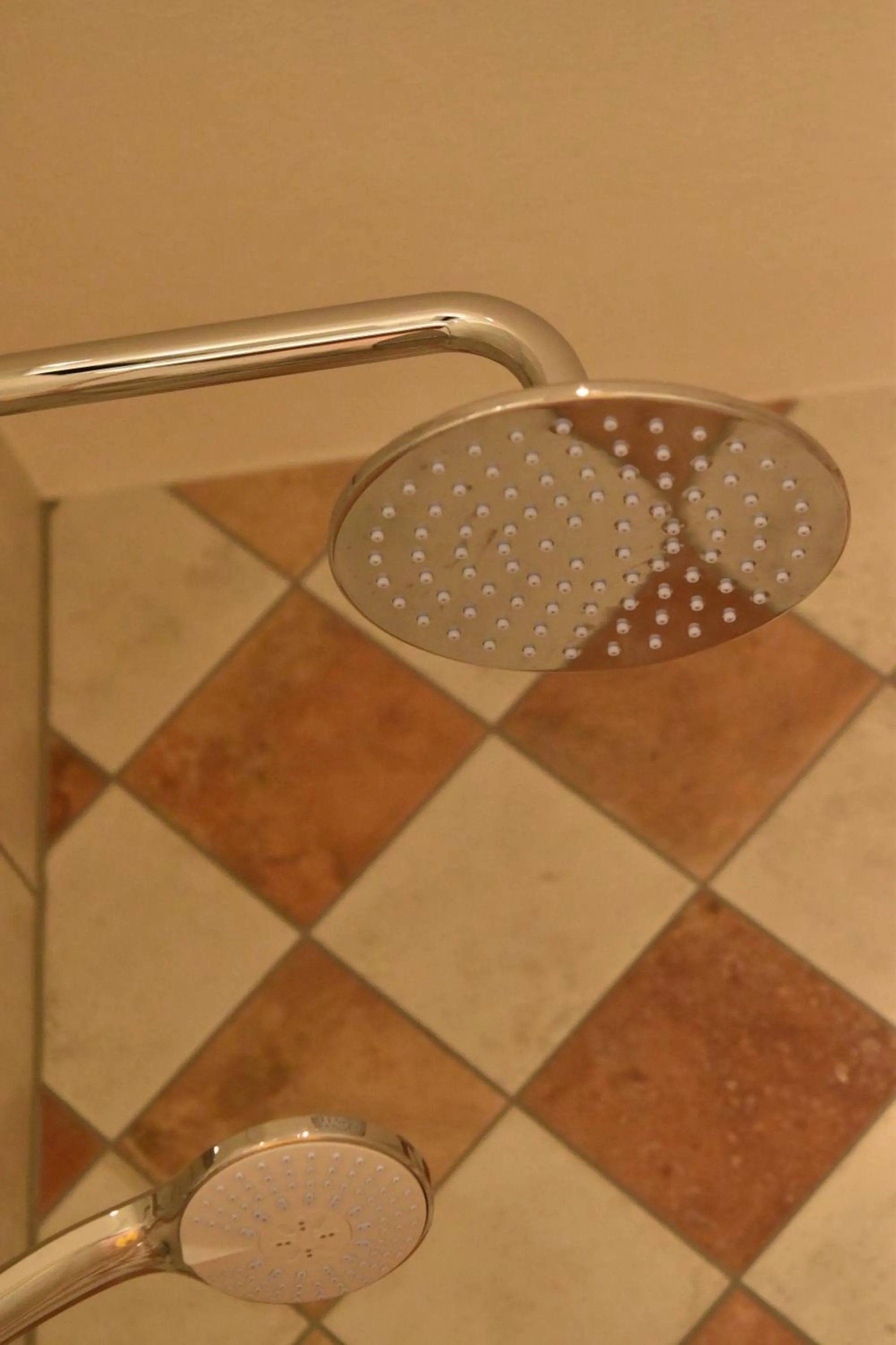 Shower in Gastinger Hotel-Restaurant