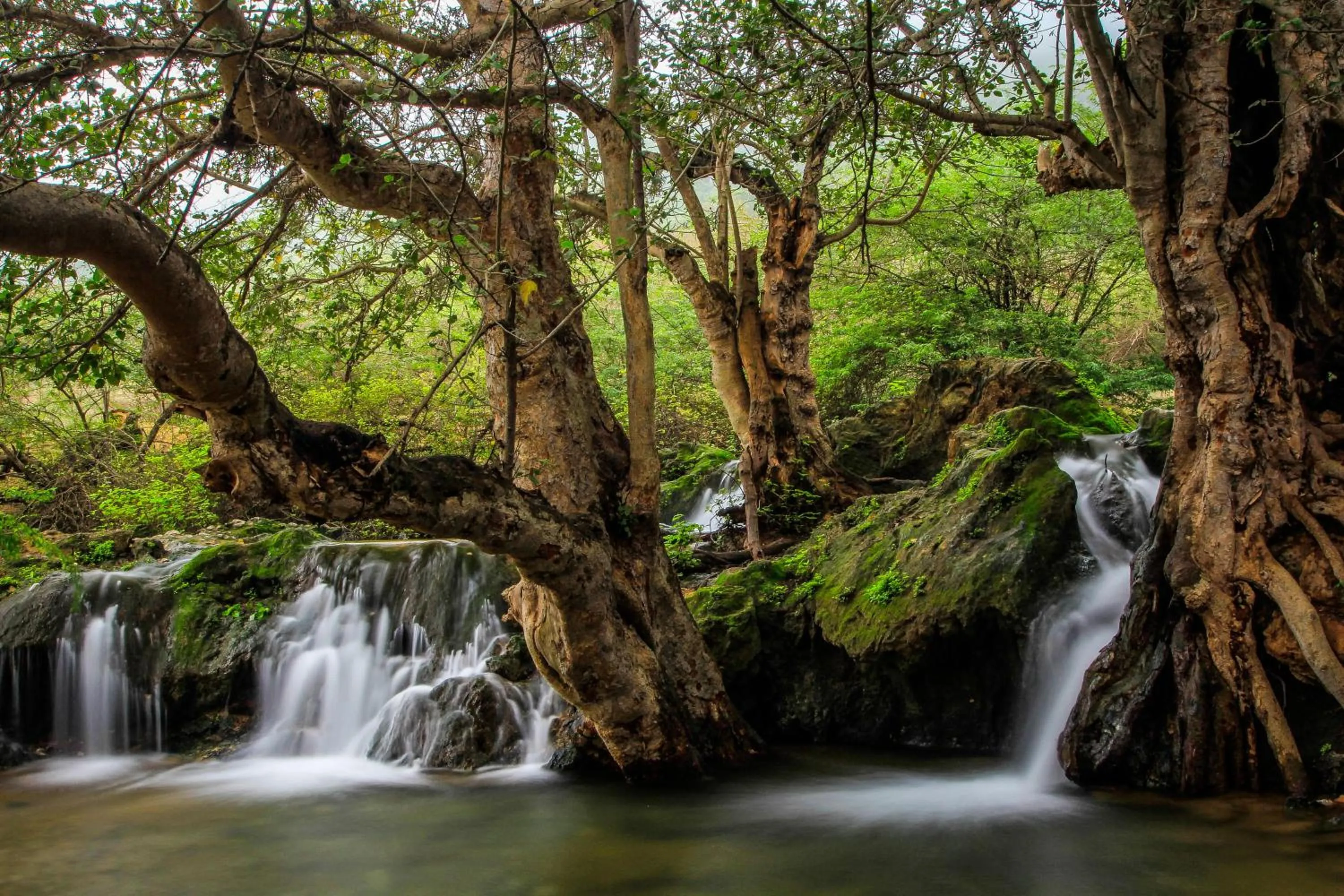 Nearby landmark in Crowne Plaza Resort Salalah by IHG