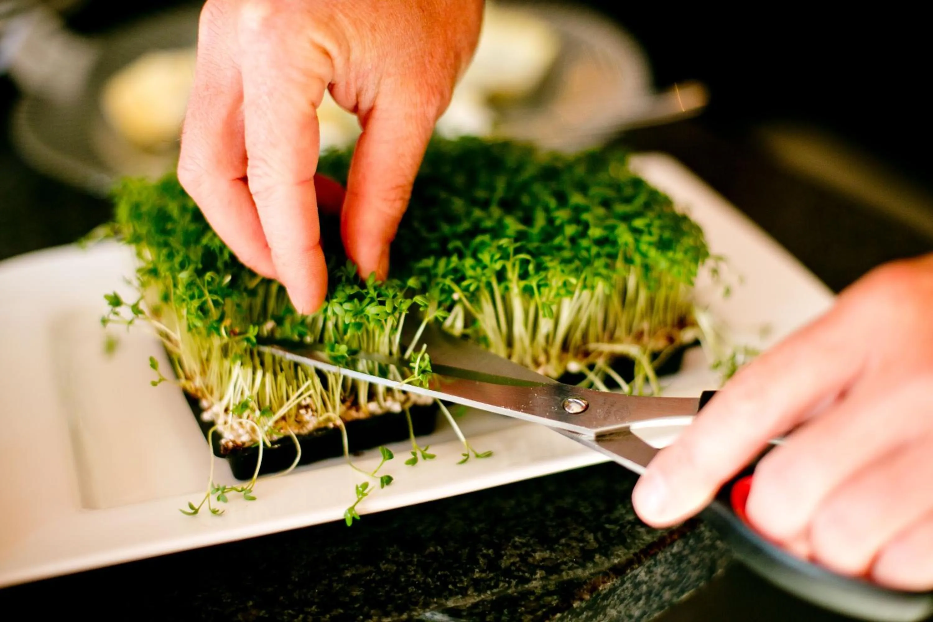 Breakfast in Hotel Birkenhof am See