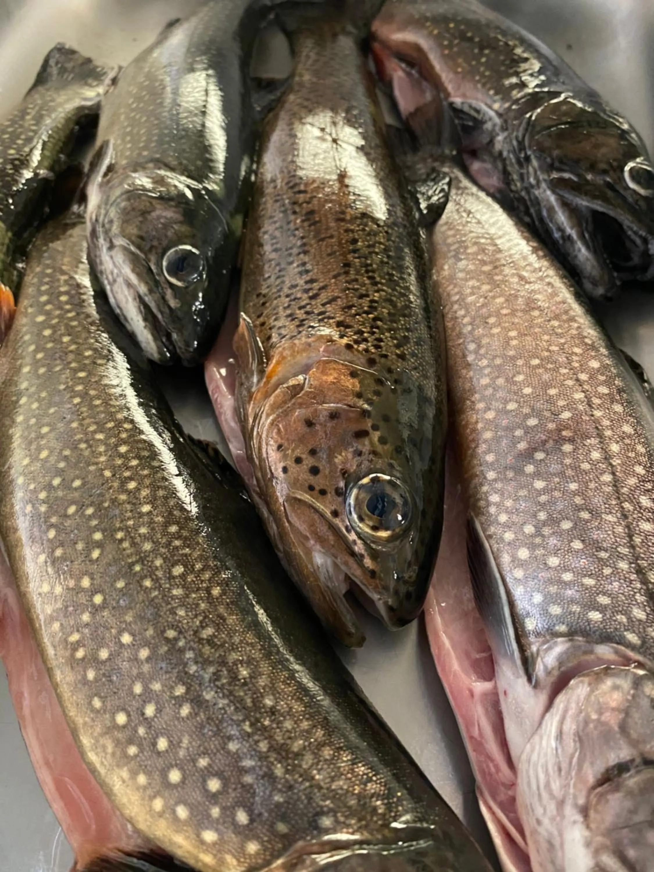 Food in Hotel-Gasthaus-Kraft