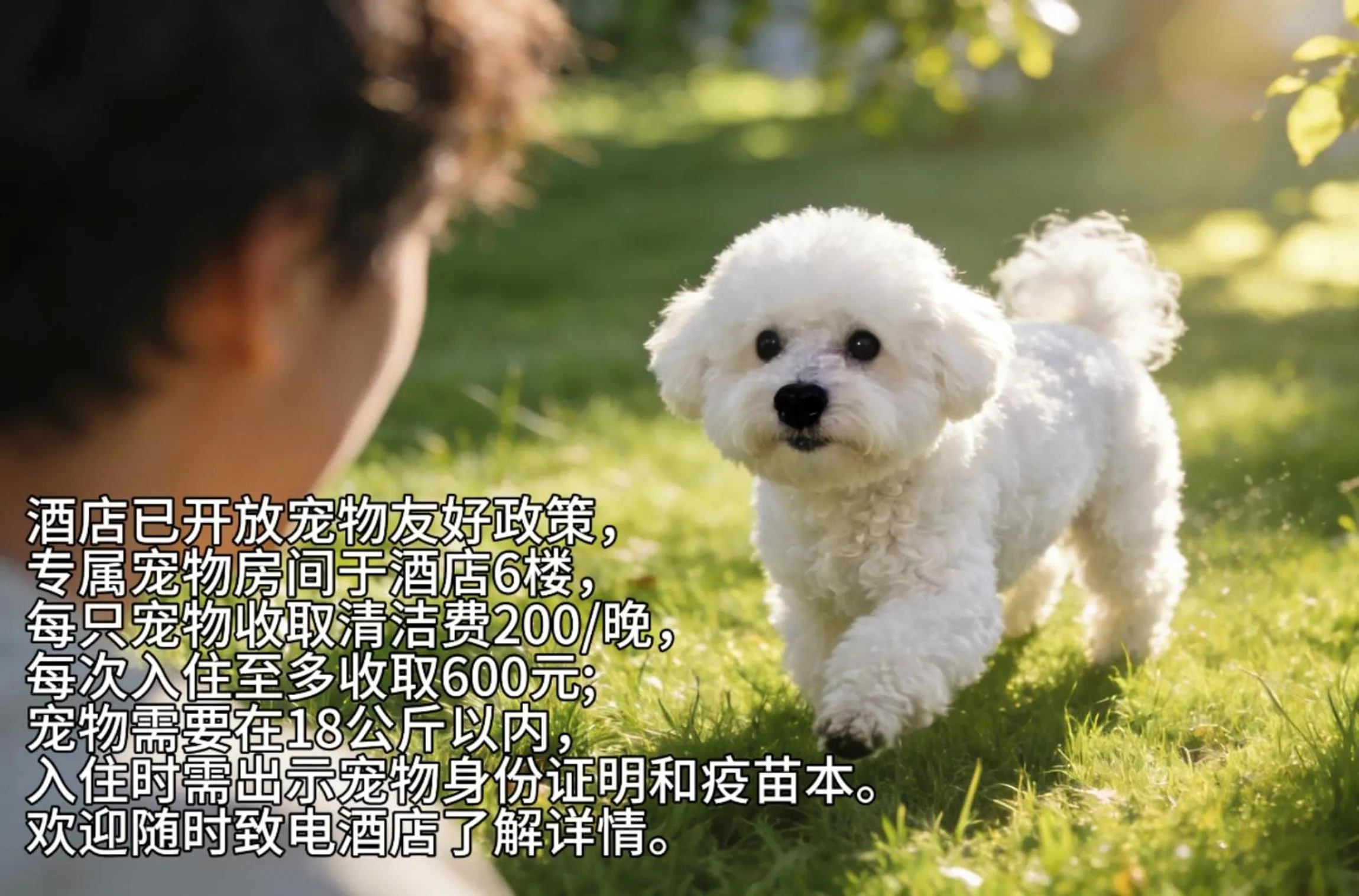 Animals in The Meixi Lake, Changsha Marriott Executive Apartments