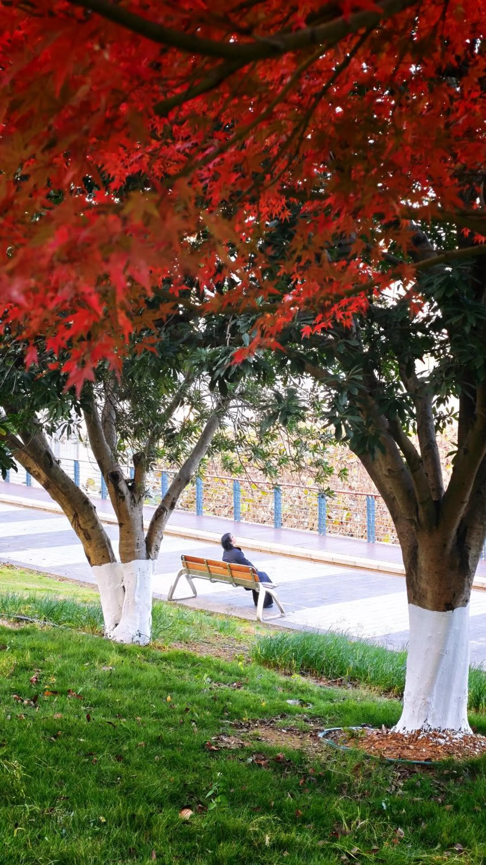 The Meixi Lake, Changsha Marriott Executive Apartments