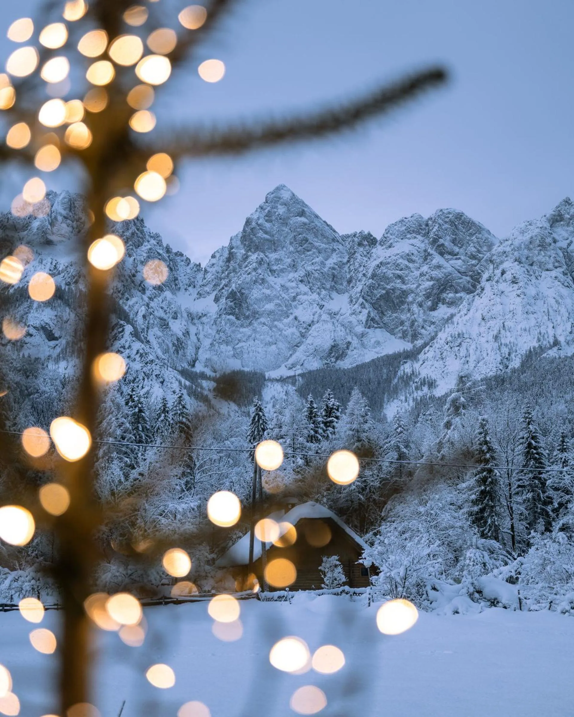 Winter in Triangel Boutique Hotel