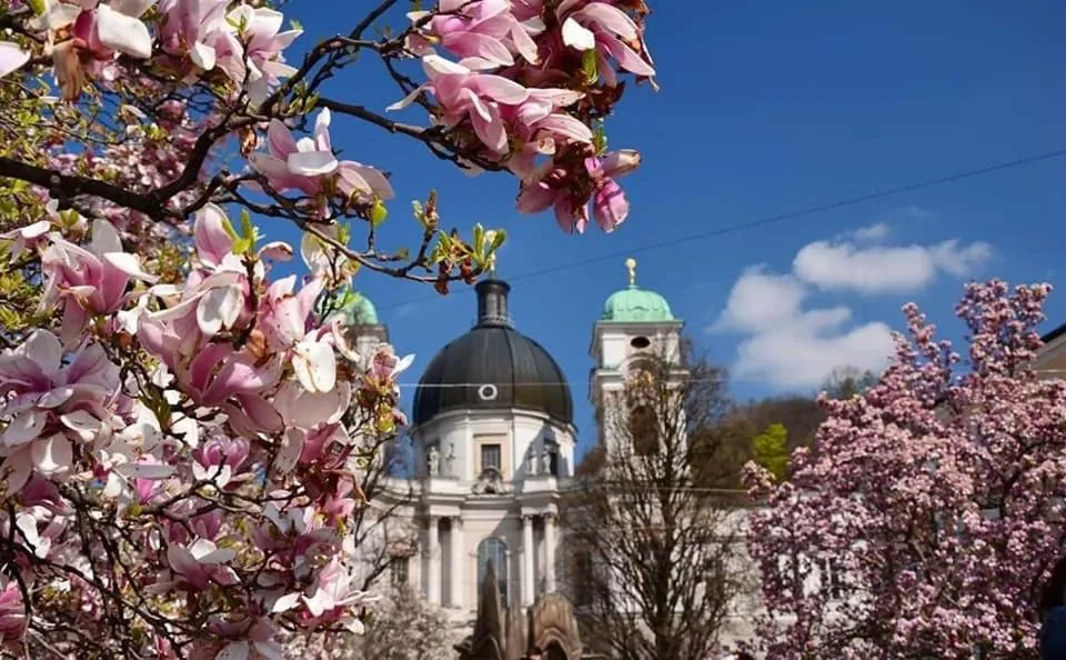 Spring in Hotel Vogelweiderhof