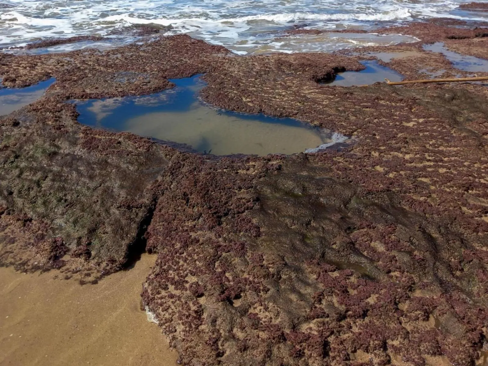 Beach in Waves of Mercy