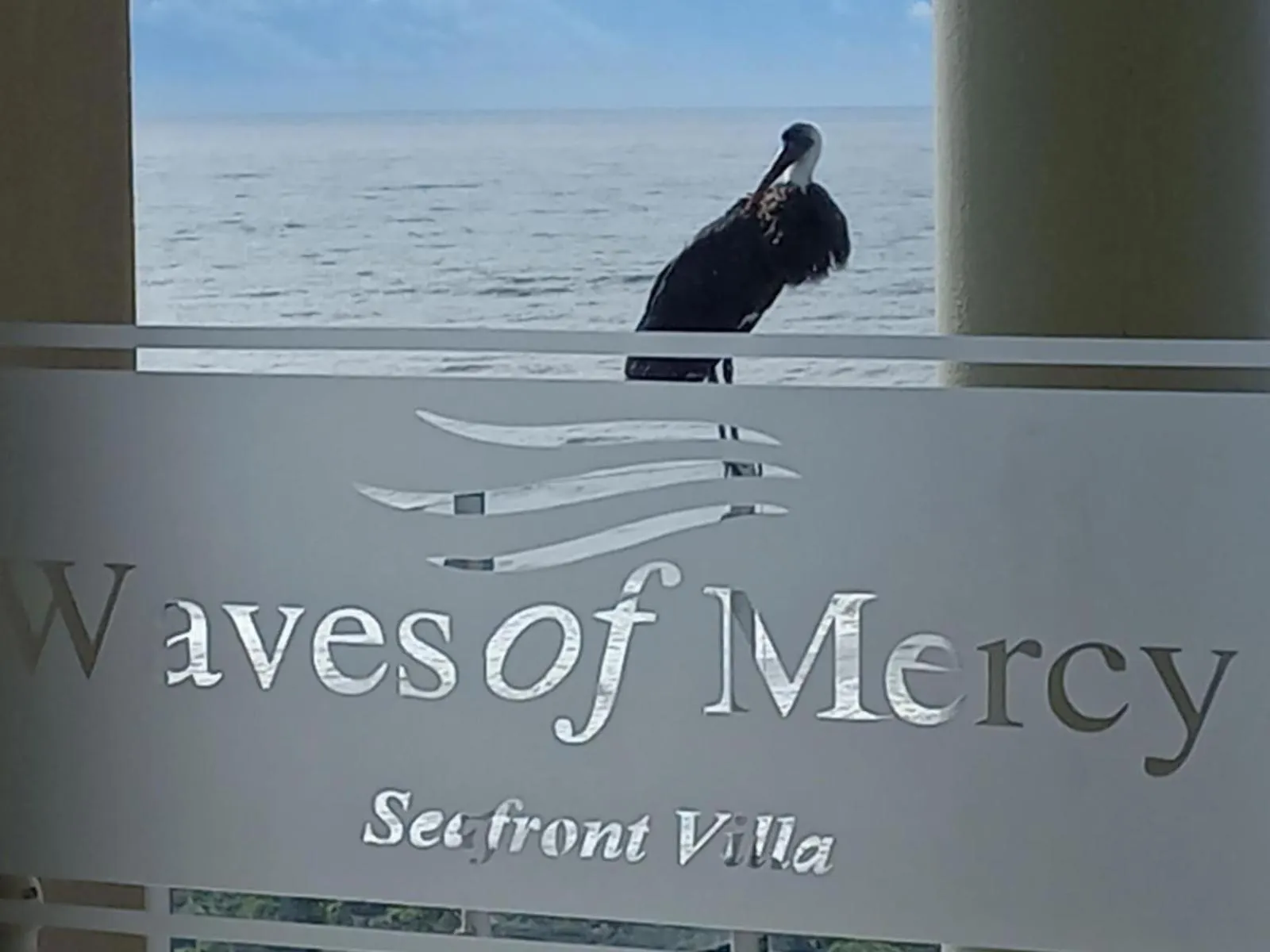 Sea view in Waves of Mercy