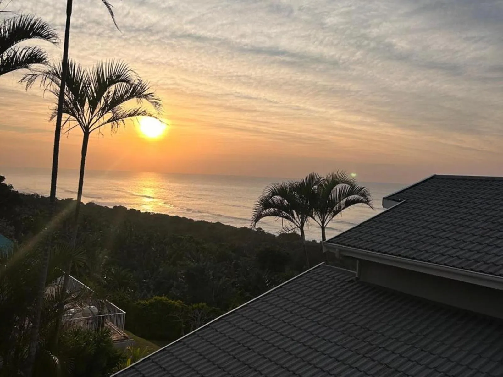 Garden in Waves of Mercy