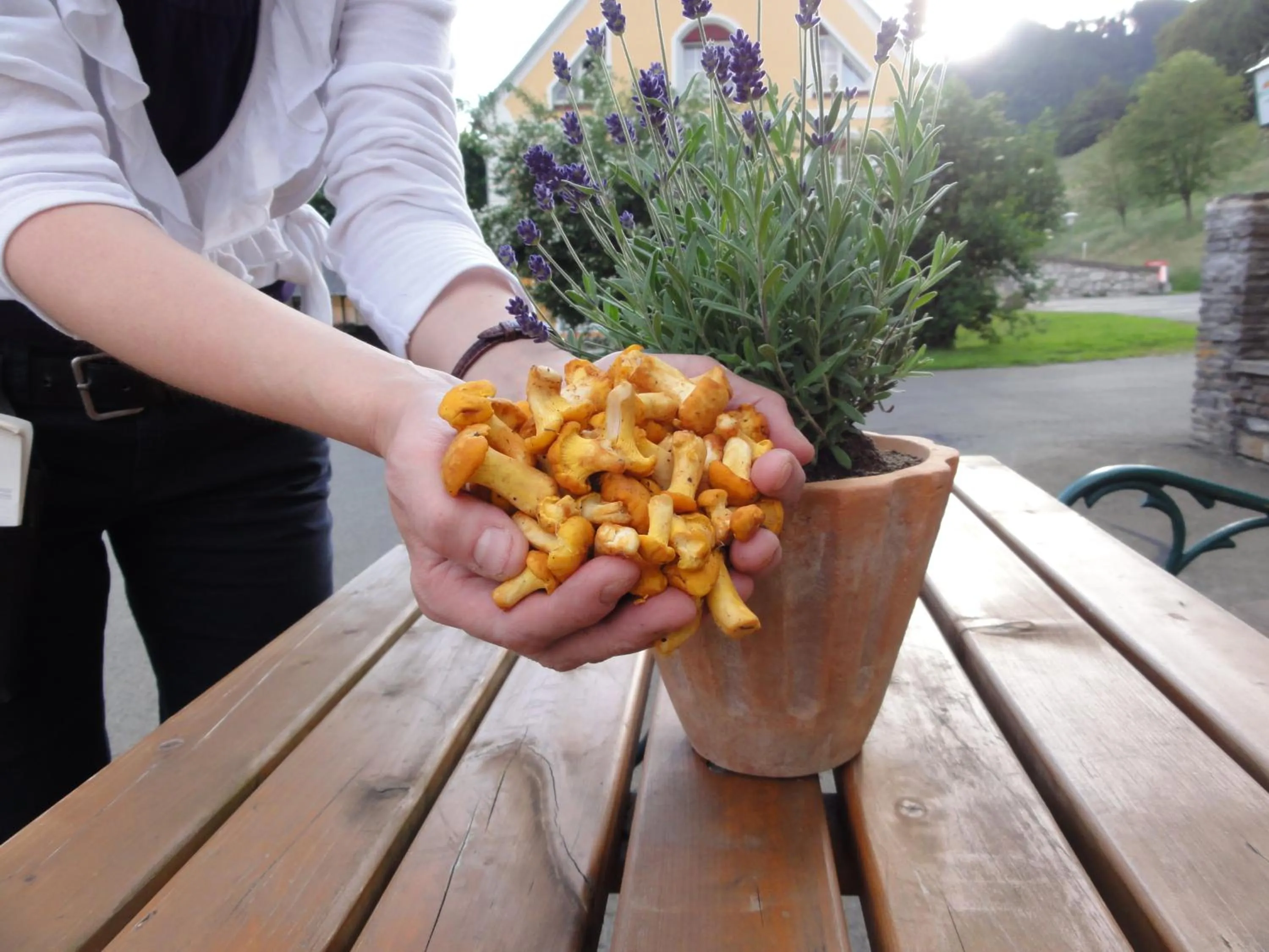 Meals in Familiengasthof Maier