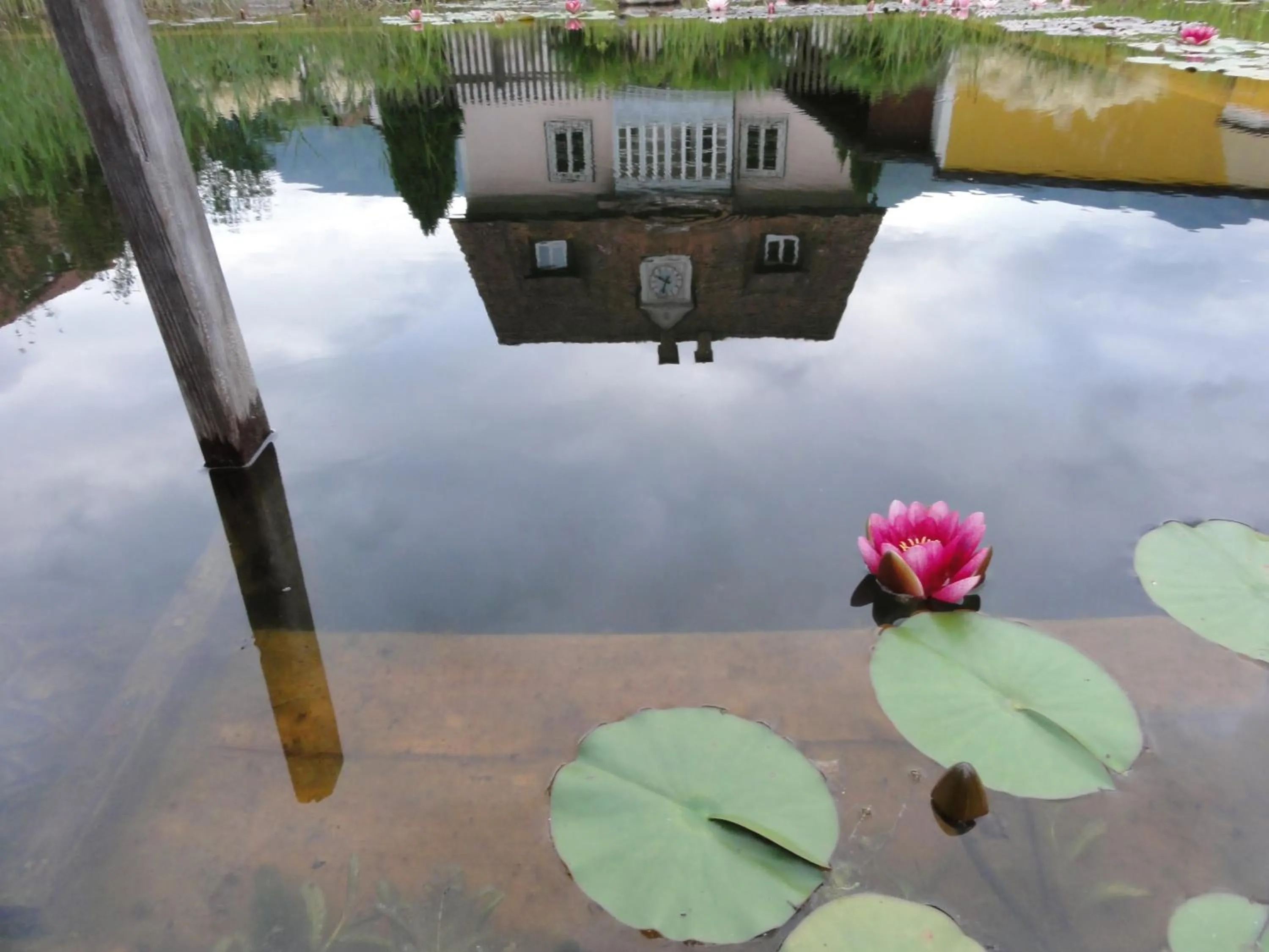 Area and facilities in Familiengasthof Maier