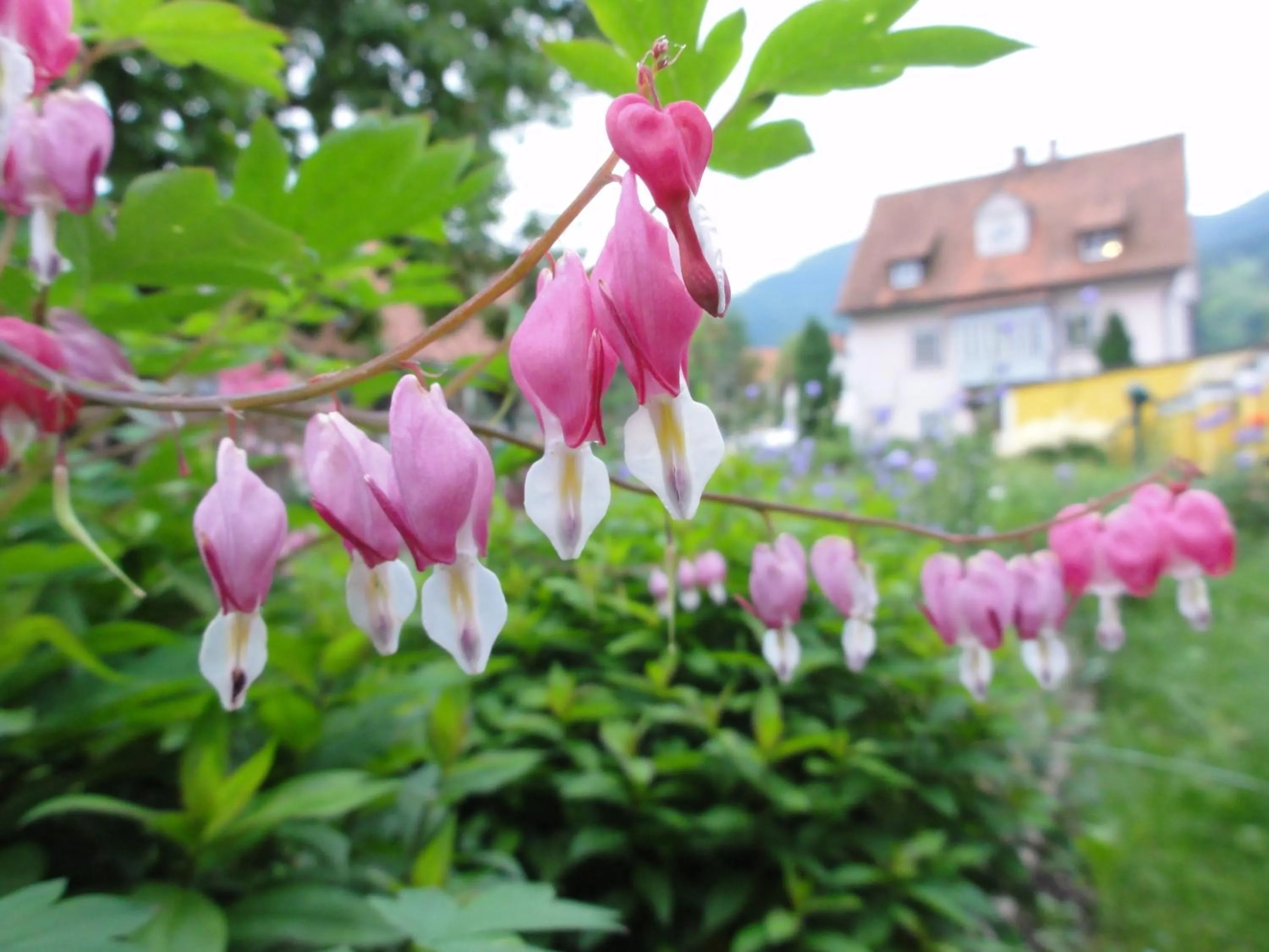 Area and facilities in Familiengasthof Maier