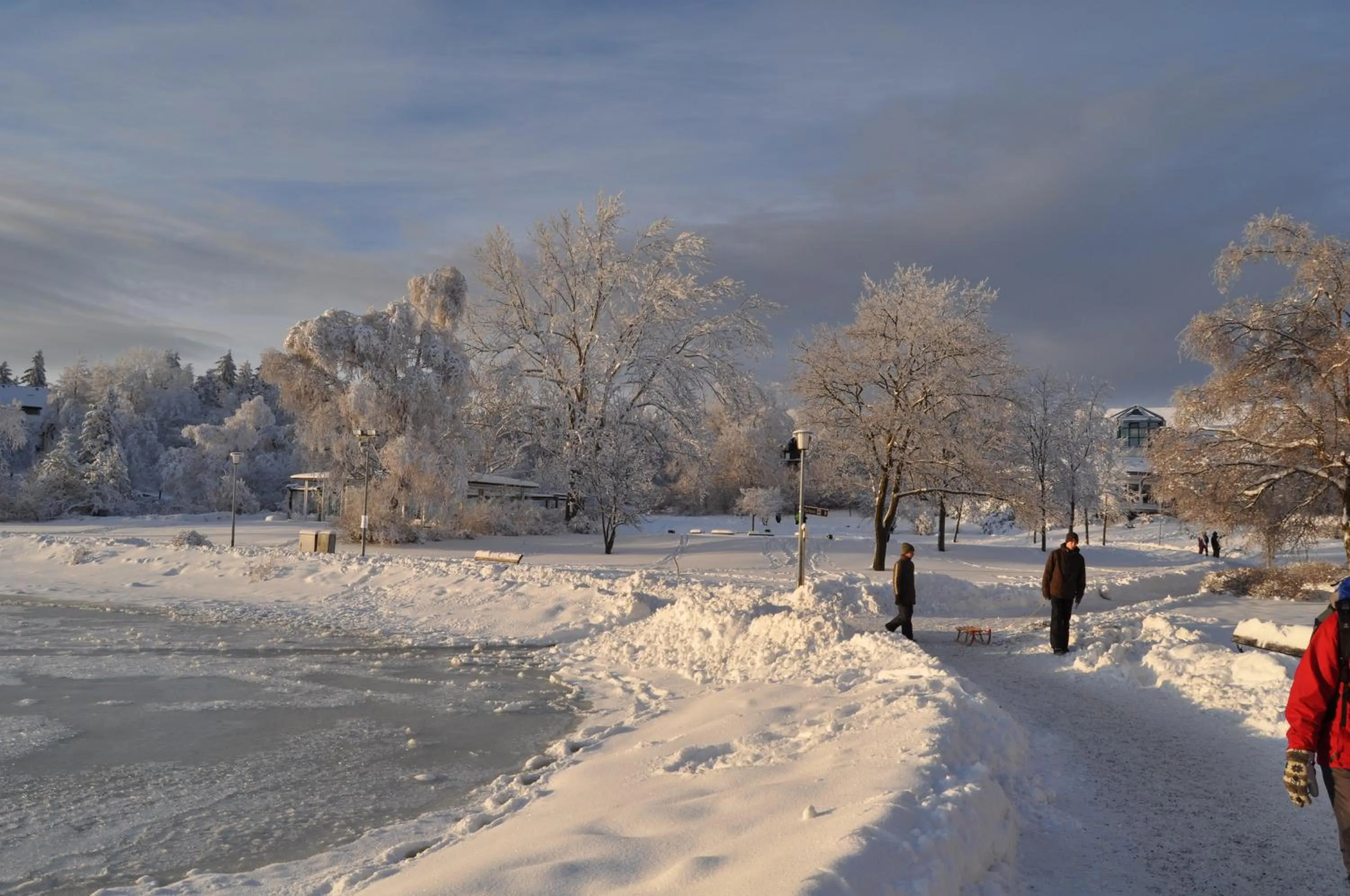 Natural landscape in Hotel Haus am Hochwald