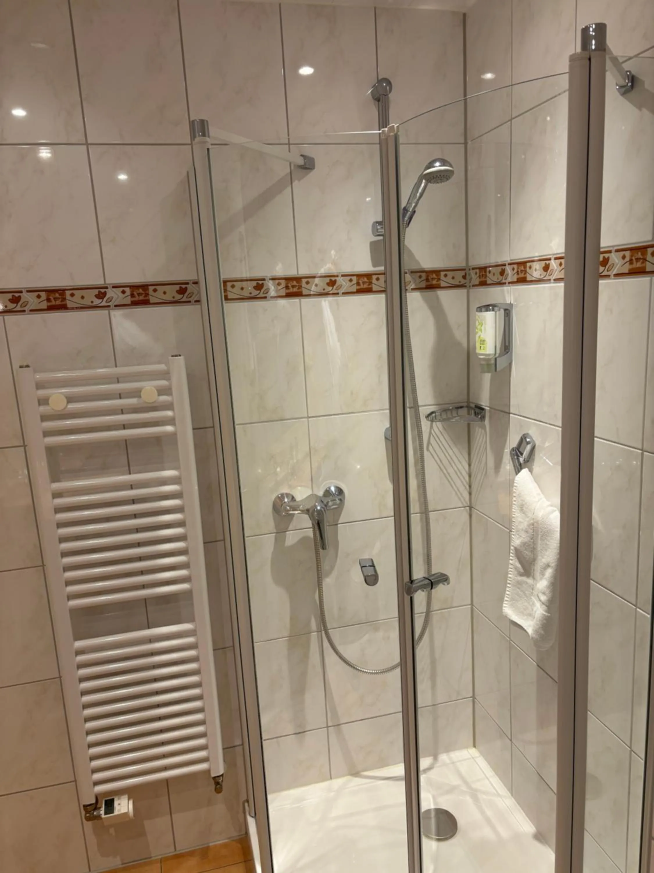 Shower in Hotel Haus am Hochwald