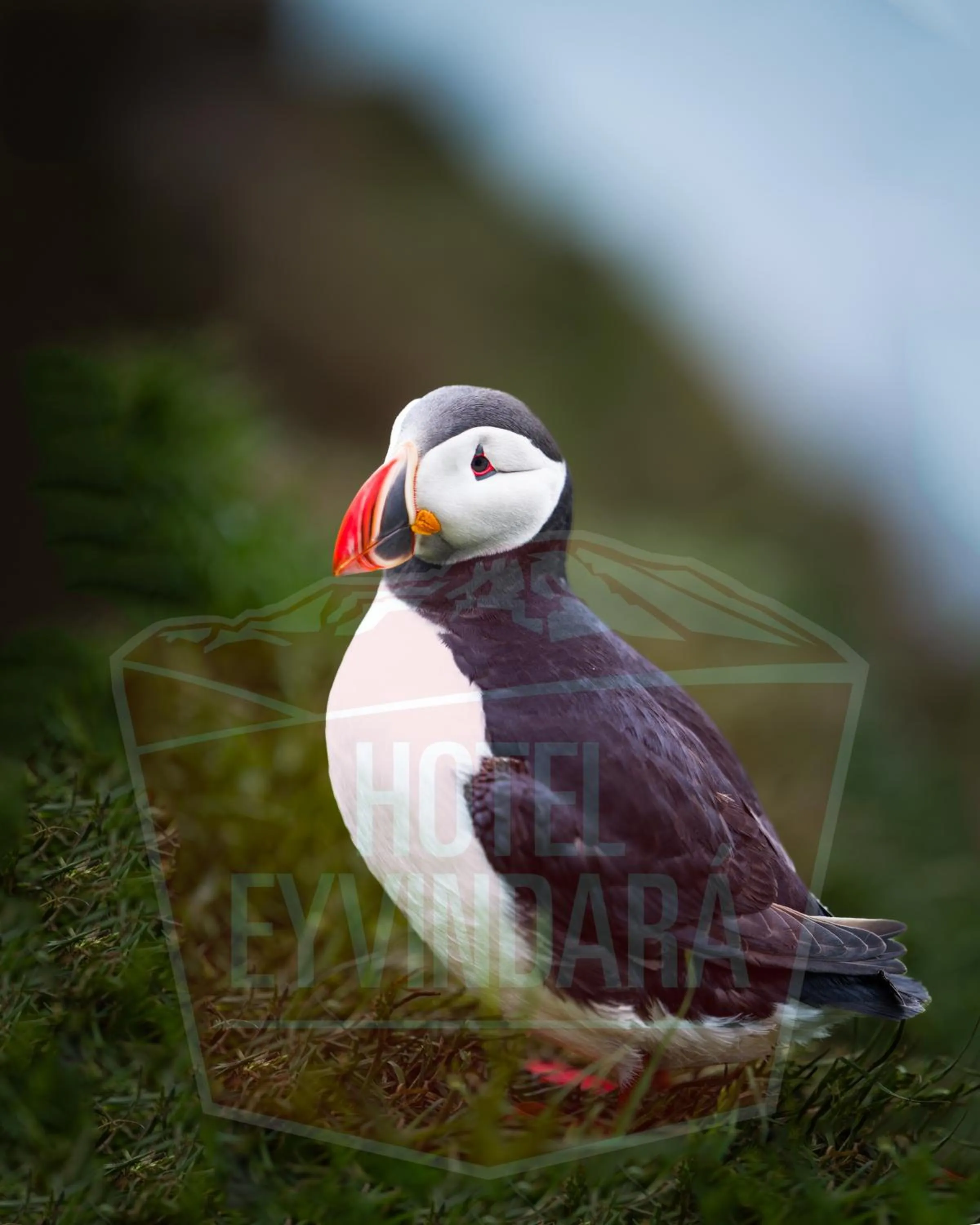 Nearby landmark in Hótel Eyvindará