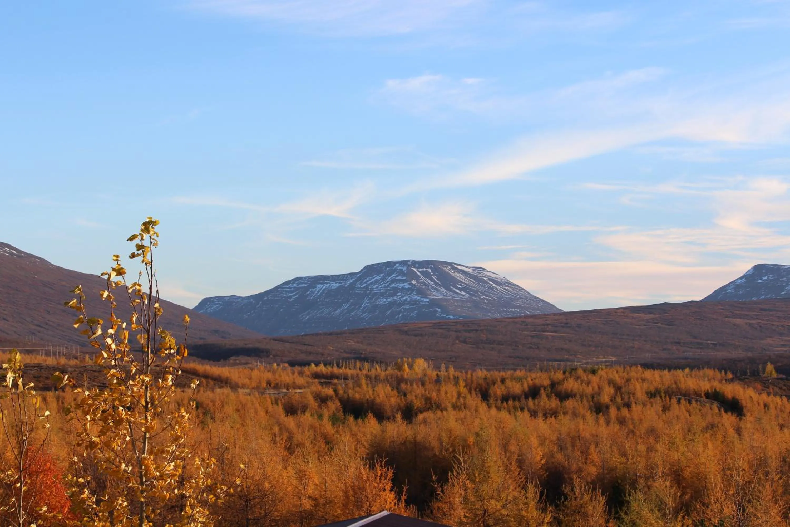 View (from property/room) in Hótel Eyvindará