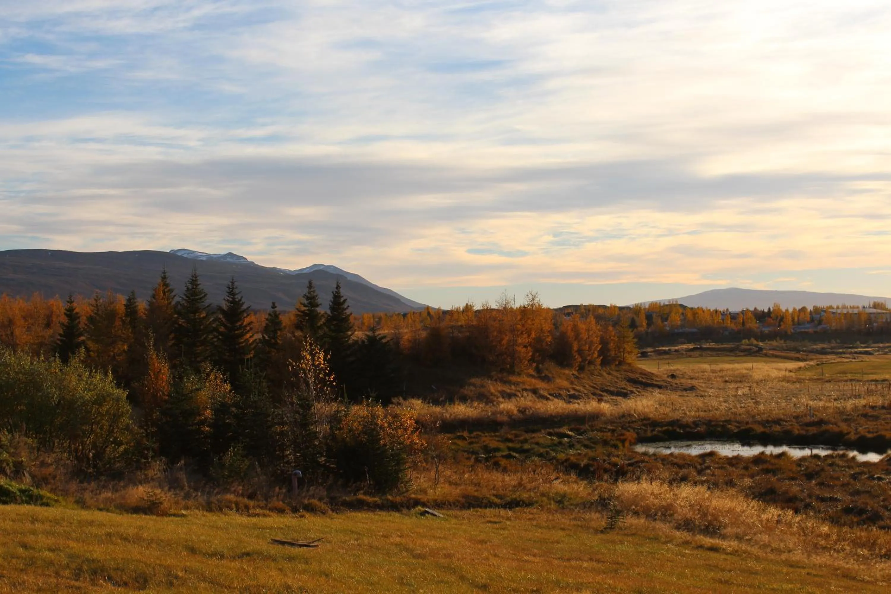 Area and facilities in Hótel Eyvindará