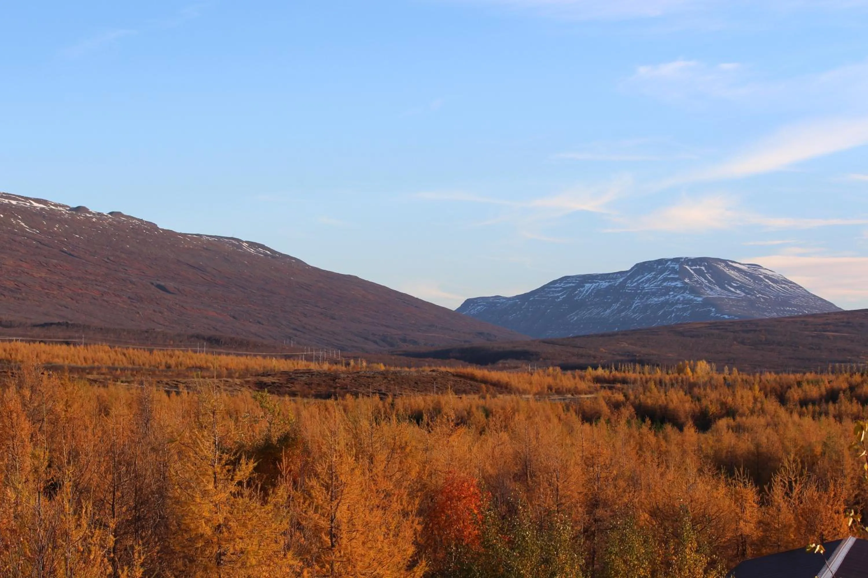 Area and facilities in Hótel Eyvindará