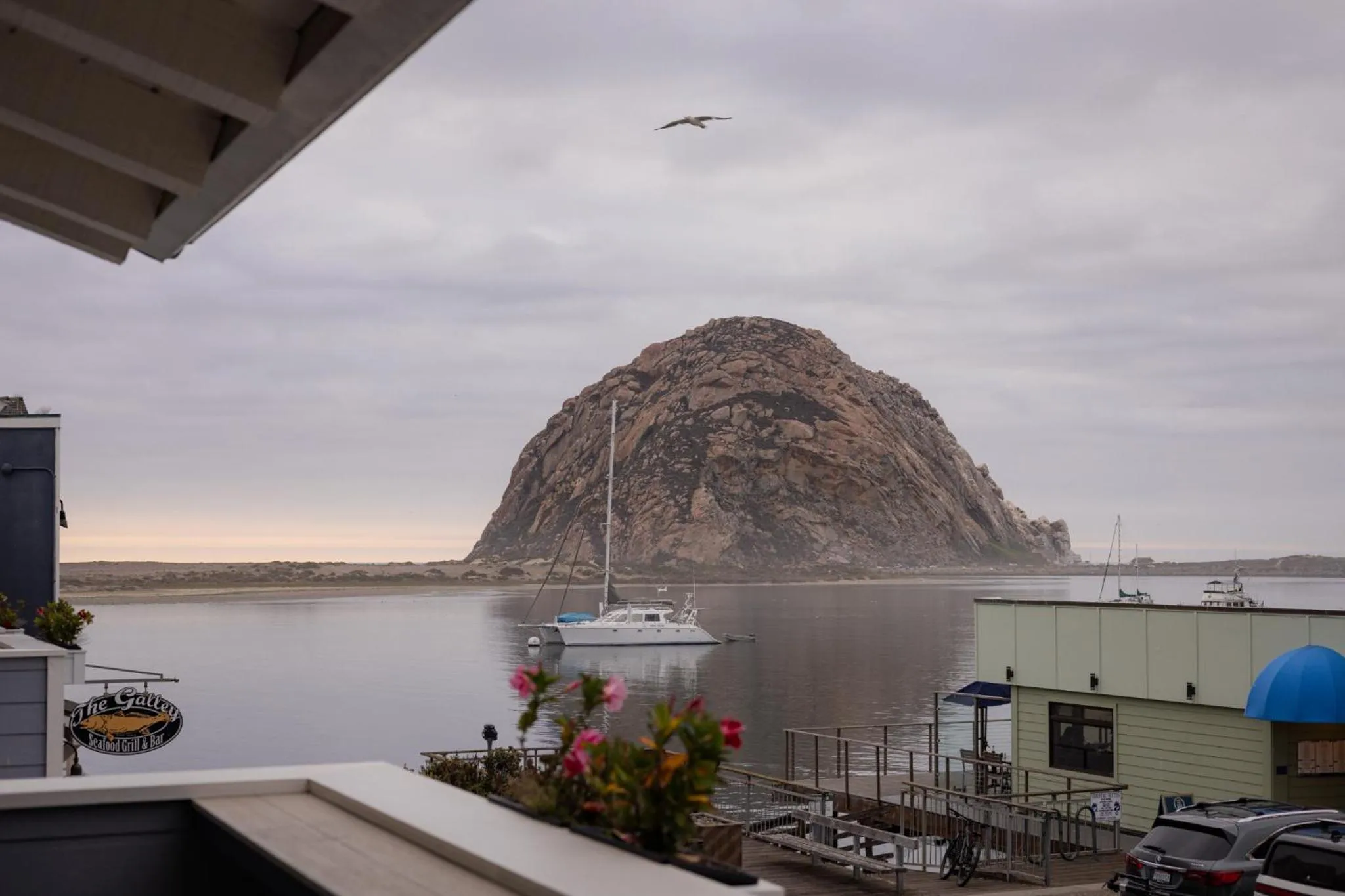 View (from property/room) in Anderson Inn