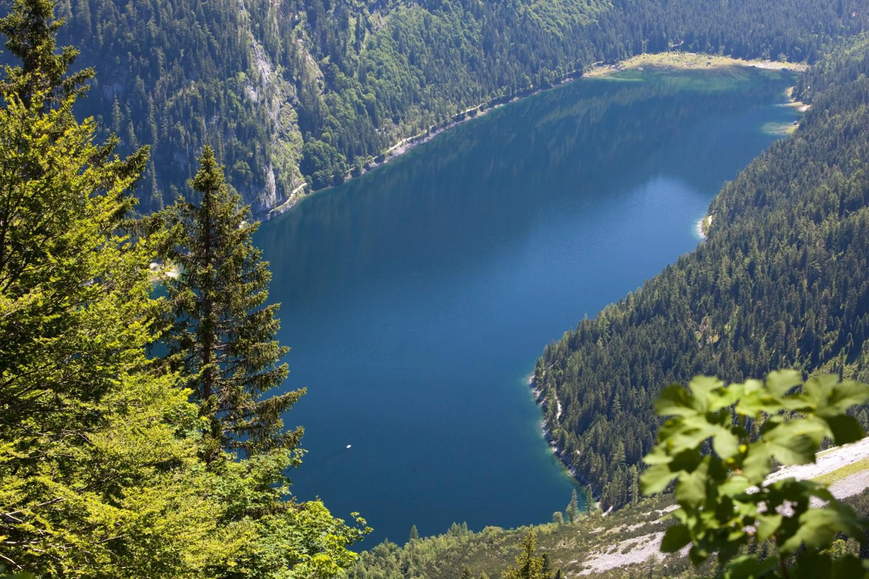 Area and facilities in Sporthotel Dachstein West