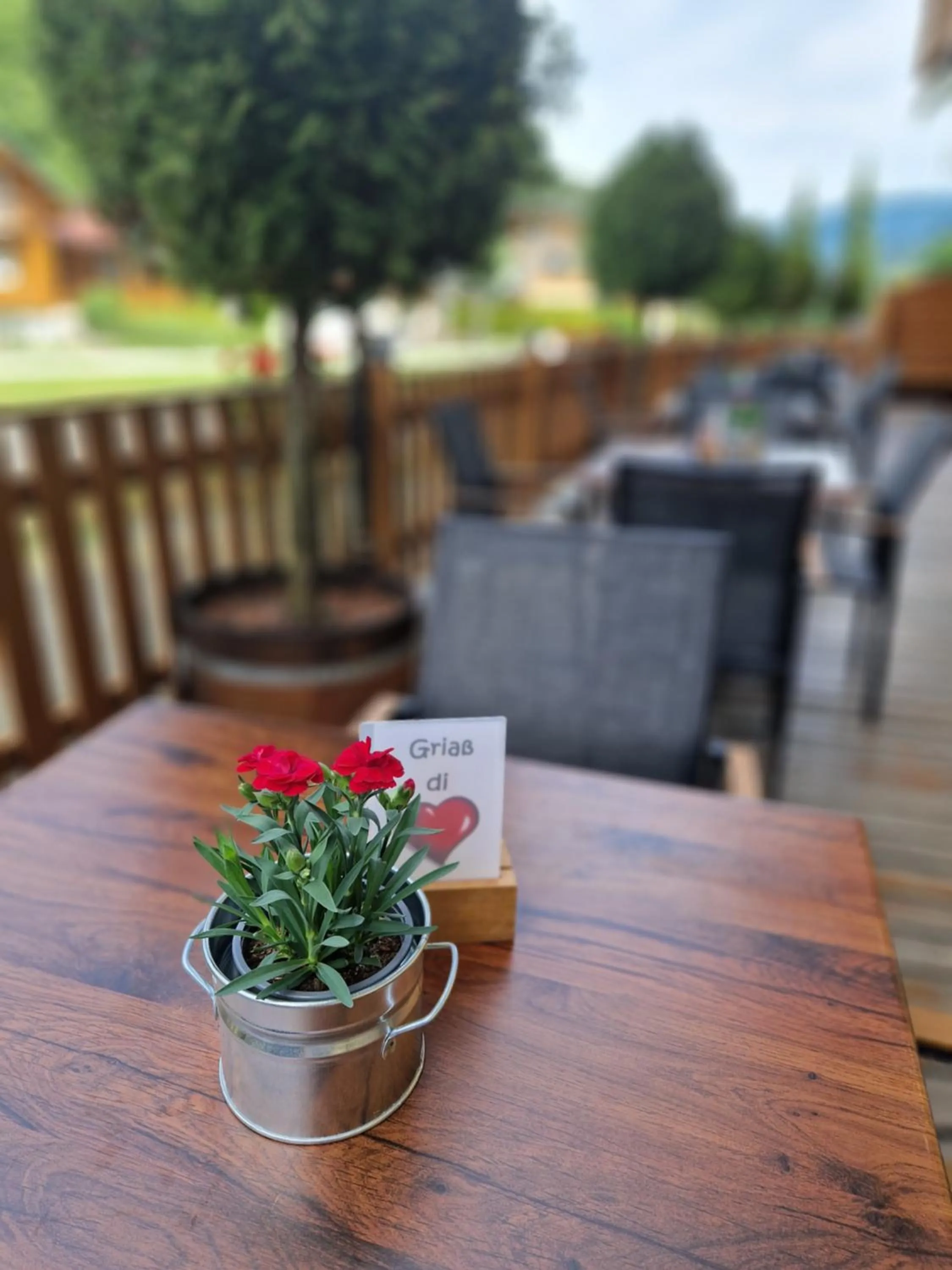 Balcony/Terrace in Sporthotel Dachstein West