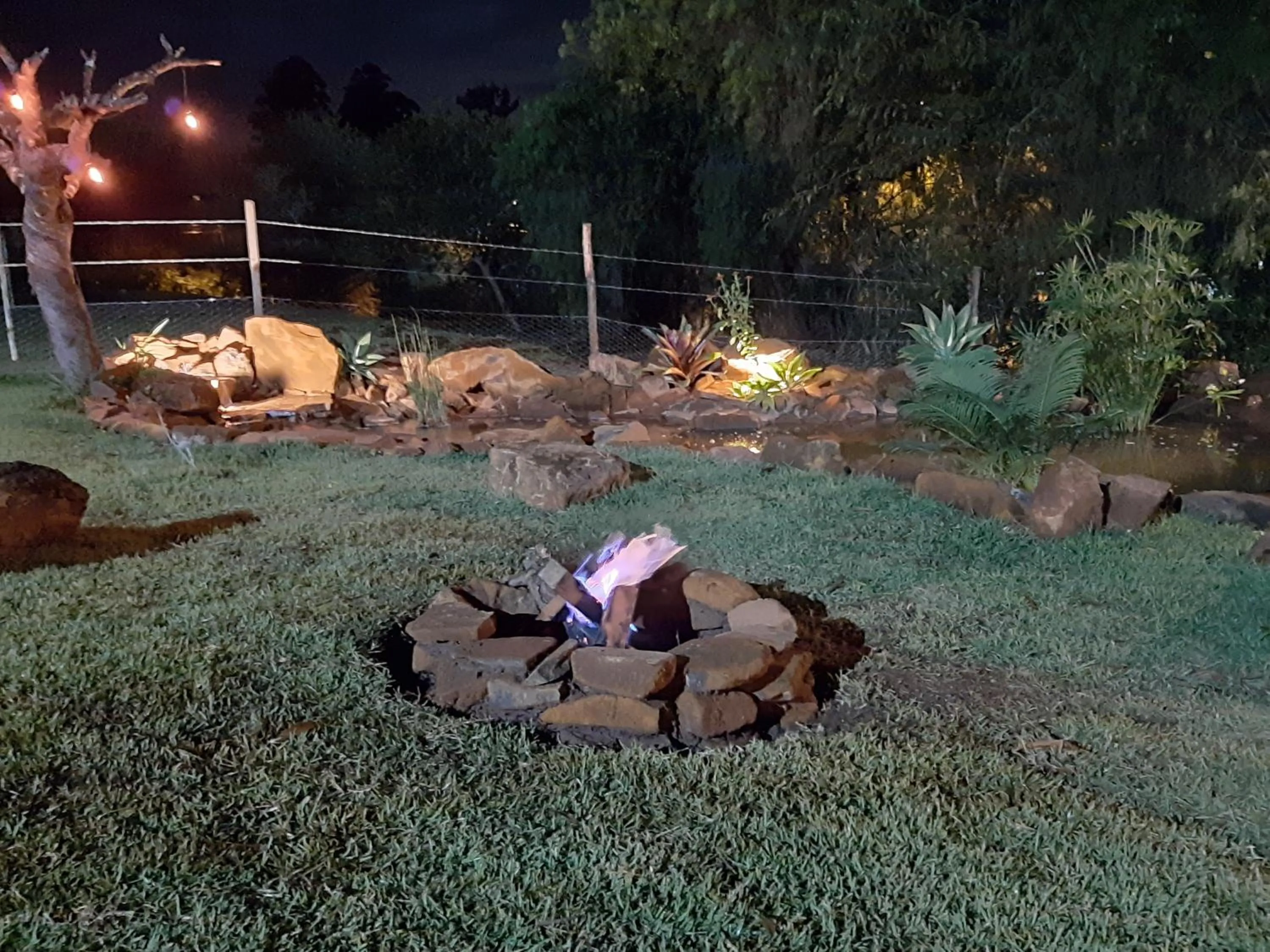Garden in Pousada da Estação