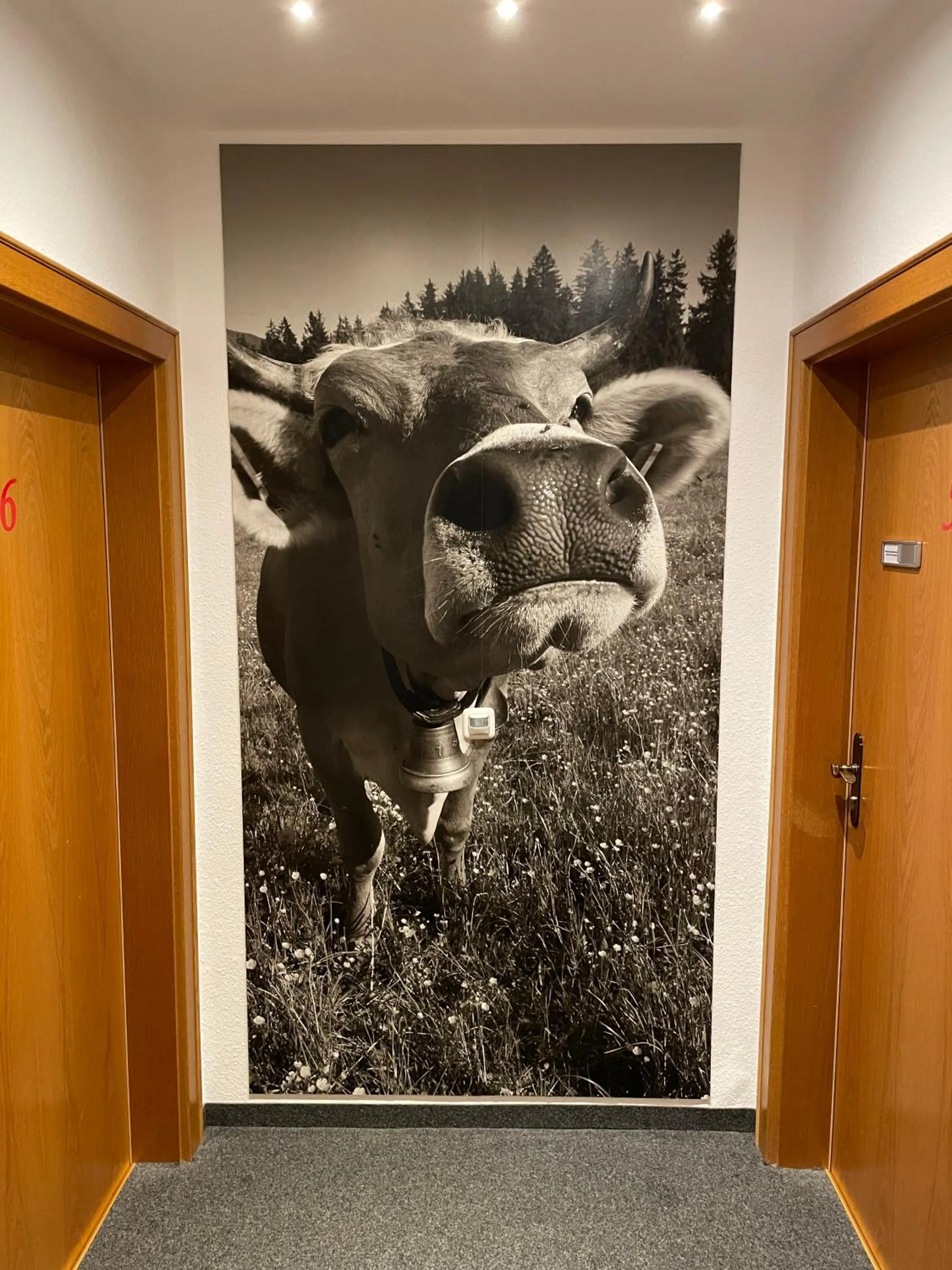 Hotel AlpIn Bed & Breakfast