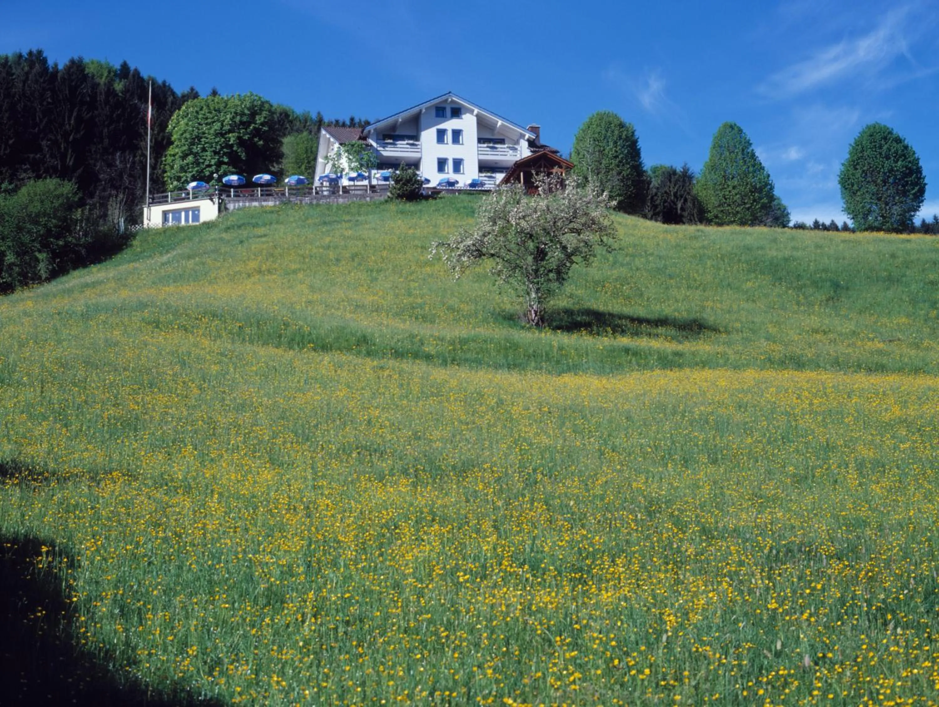 Panorama Hotel Freudenberg