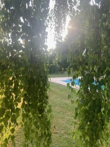 Garden in Les Lauriers