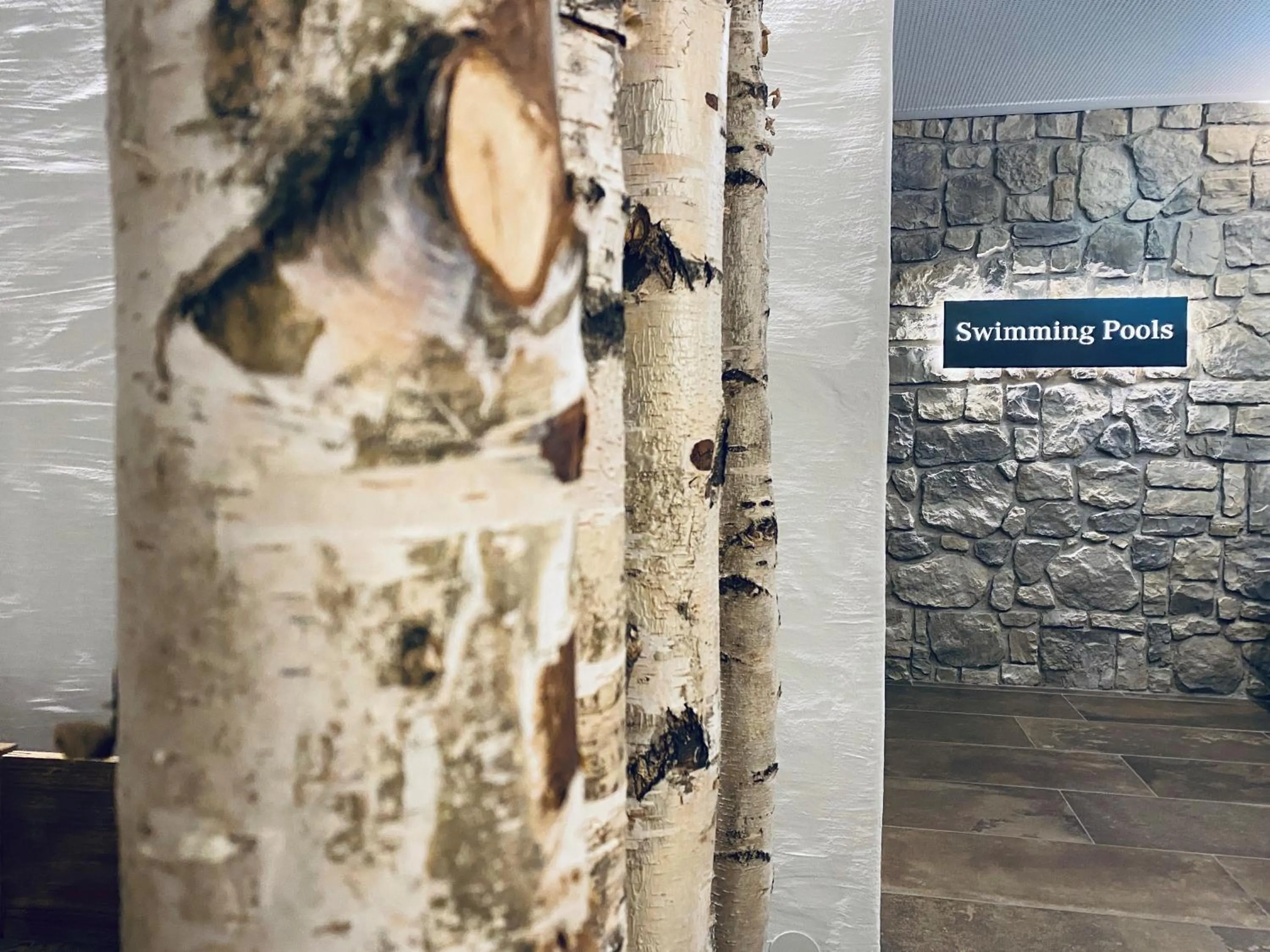 Swimming pool in Sporthotel Royer