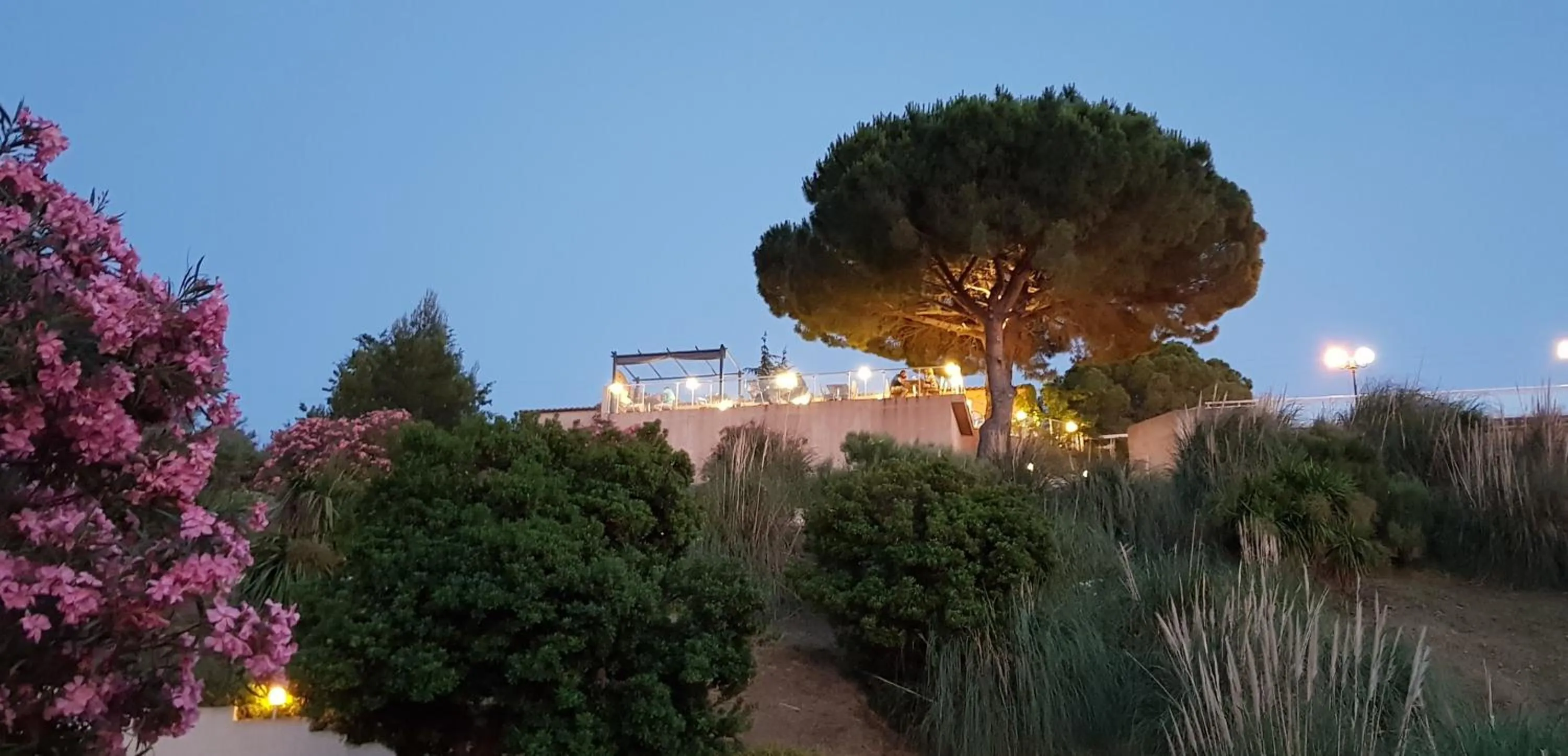 Restaurant/places to eat in Résidence U Nebbiu