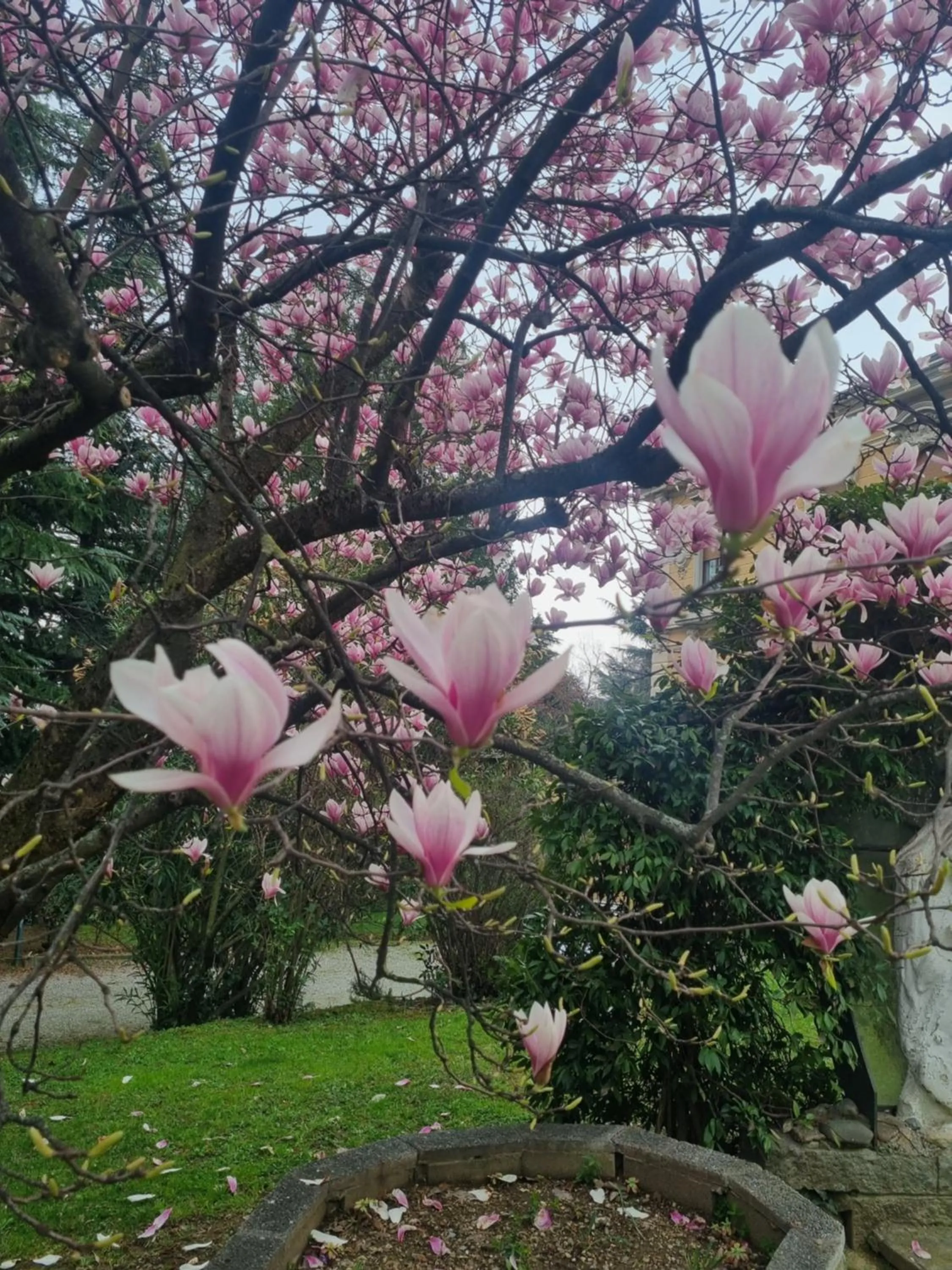 Garden in Villa San Giuseppe