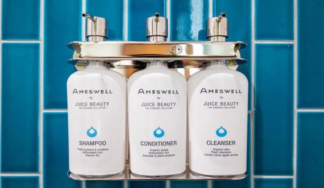 Shower in The Ameswell Hotel