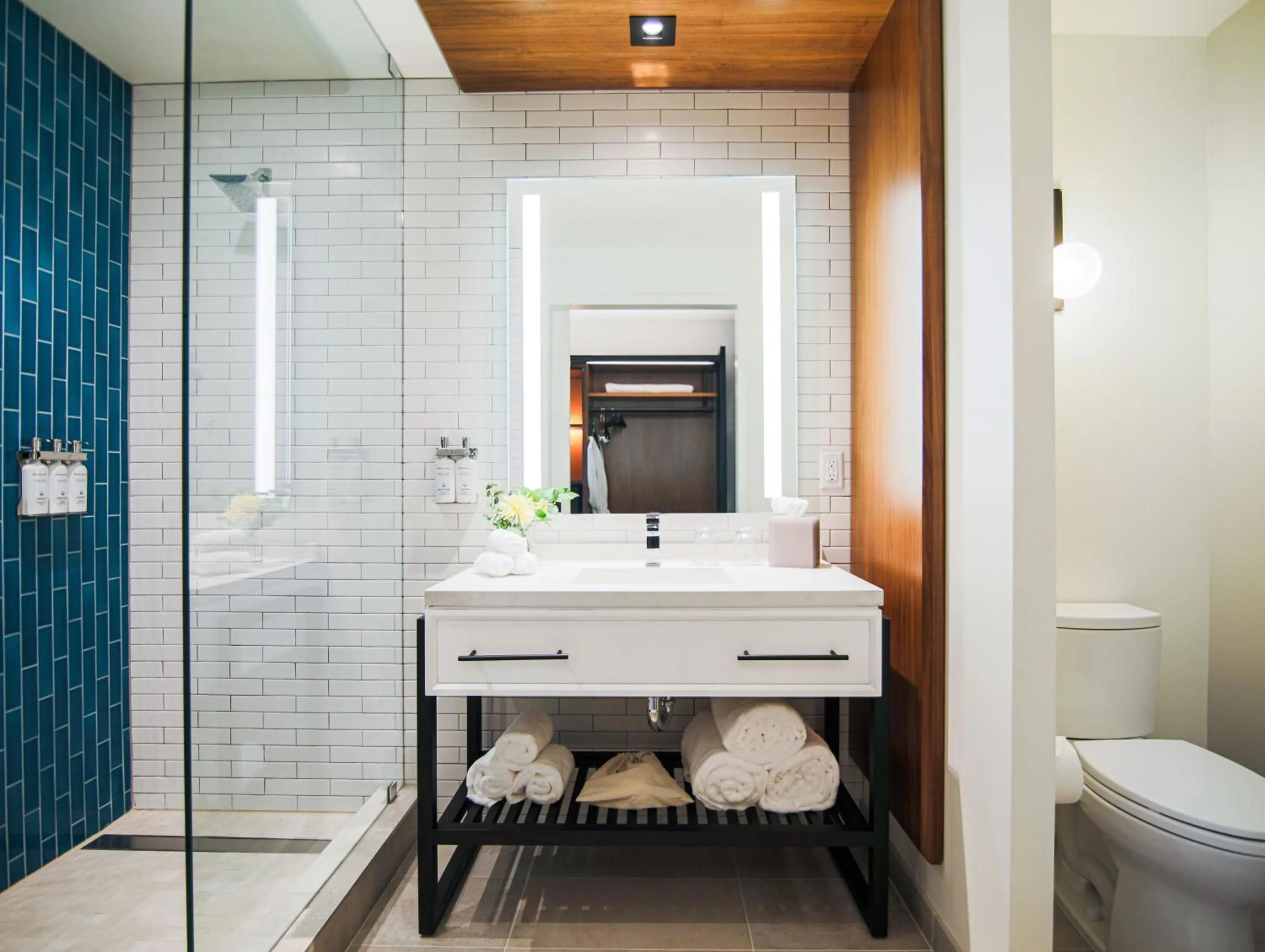 Toilet in The Ameswell Hotel